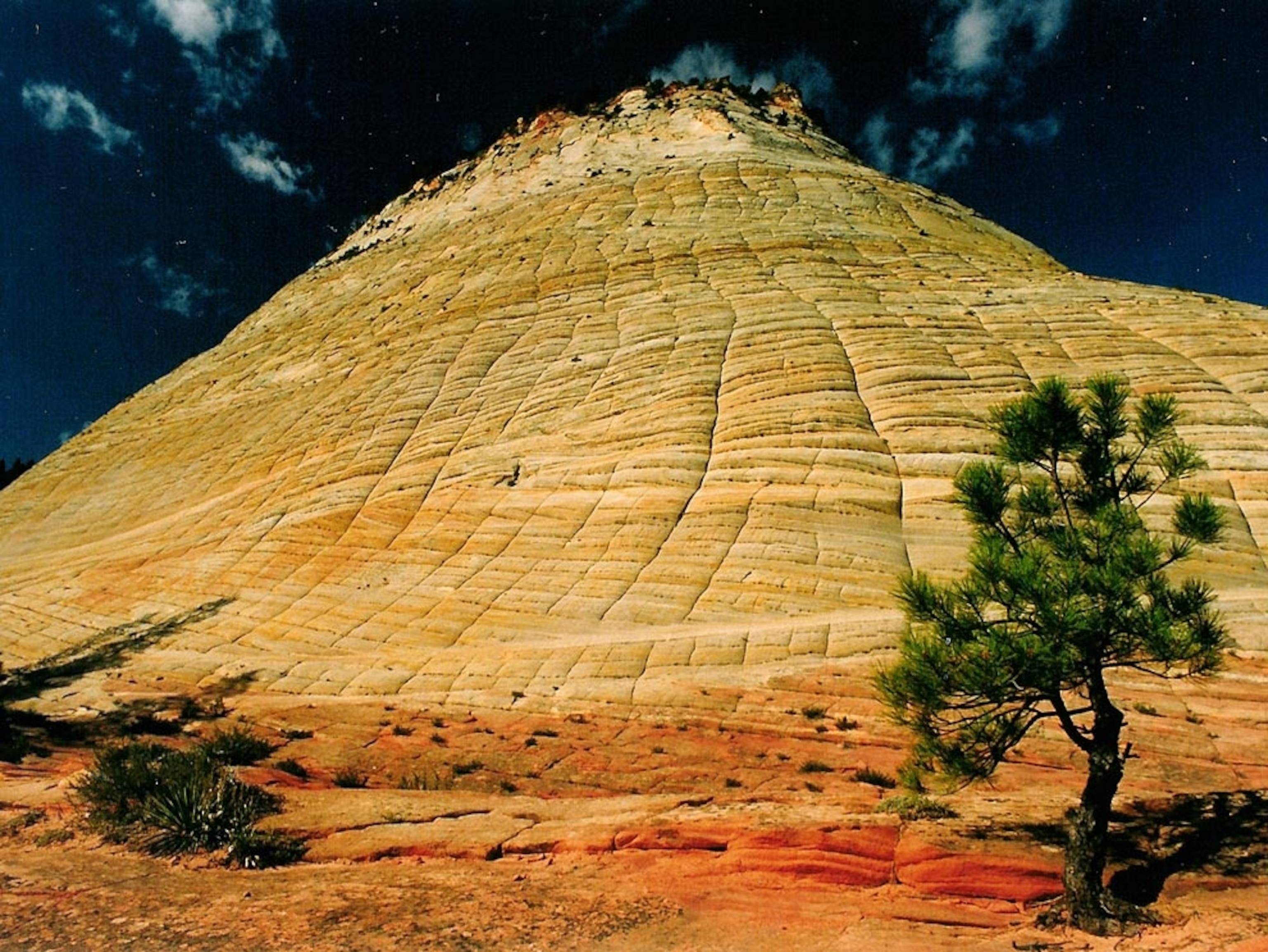 Zion's Checkerboard Mesa
