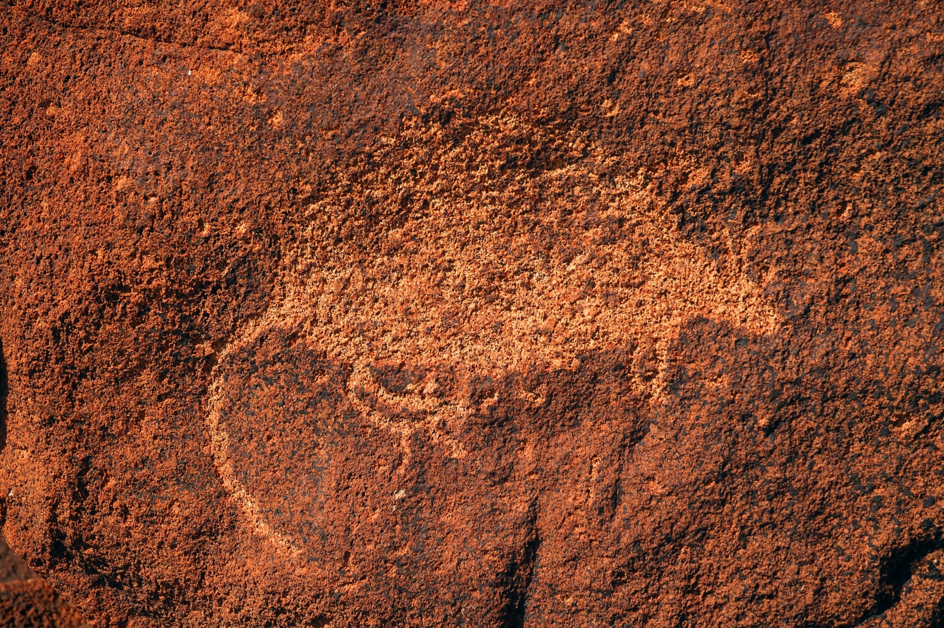 Ancient aboriginal rock art
