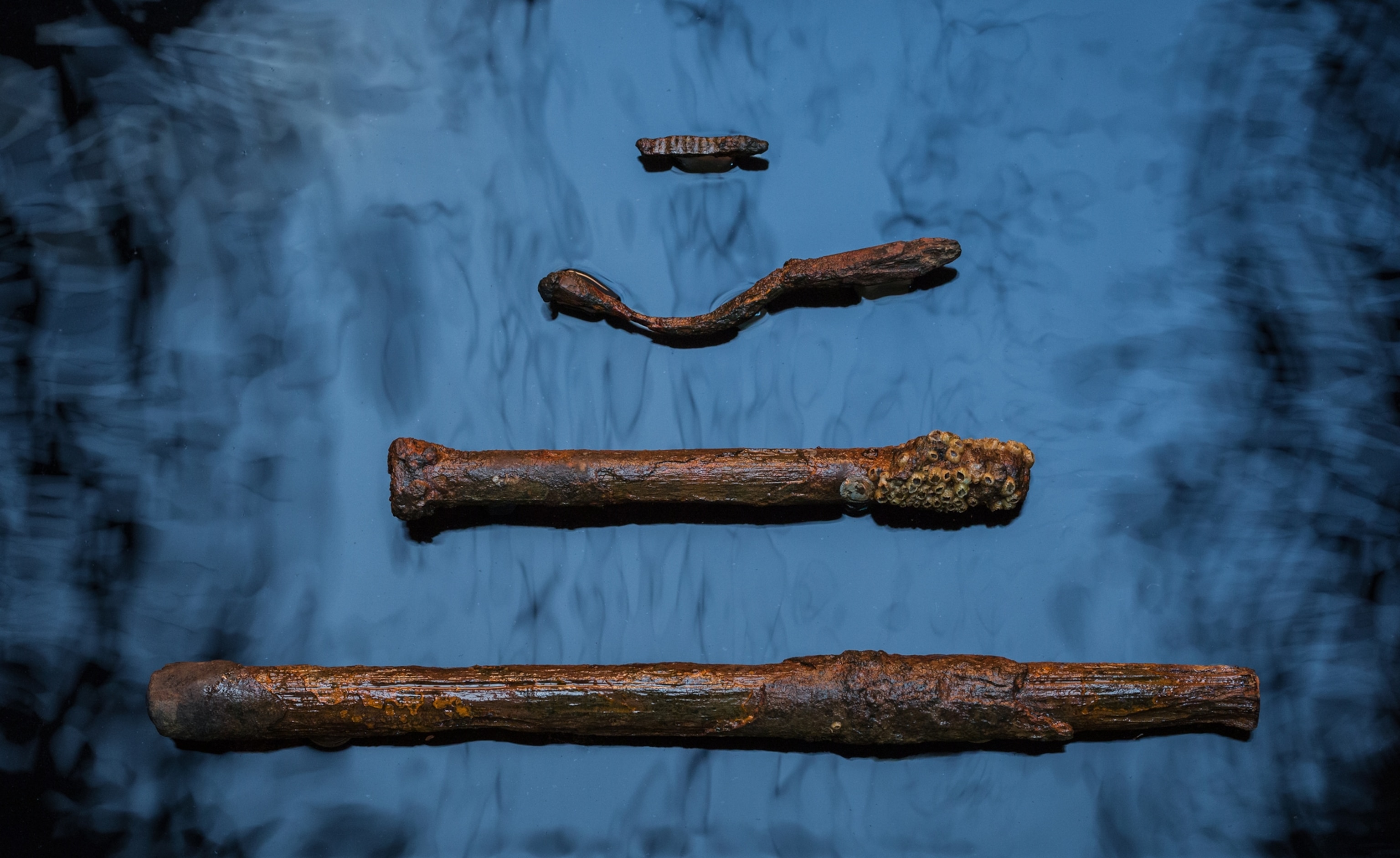 4 objects laid out on a blue shiny background