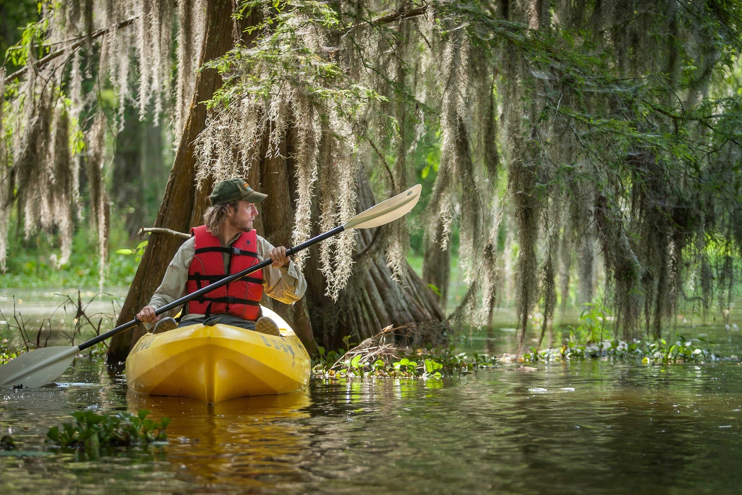 A kayaker in the wetlands.