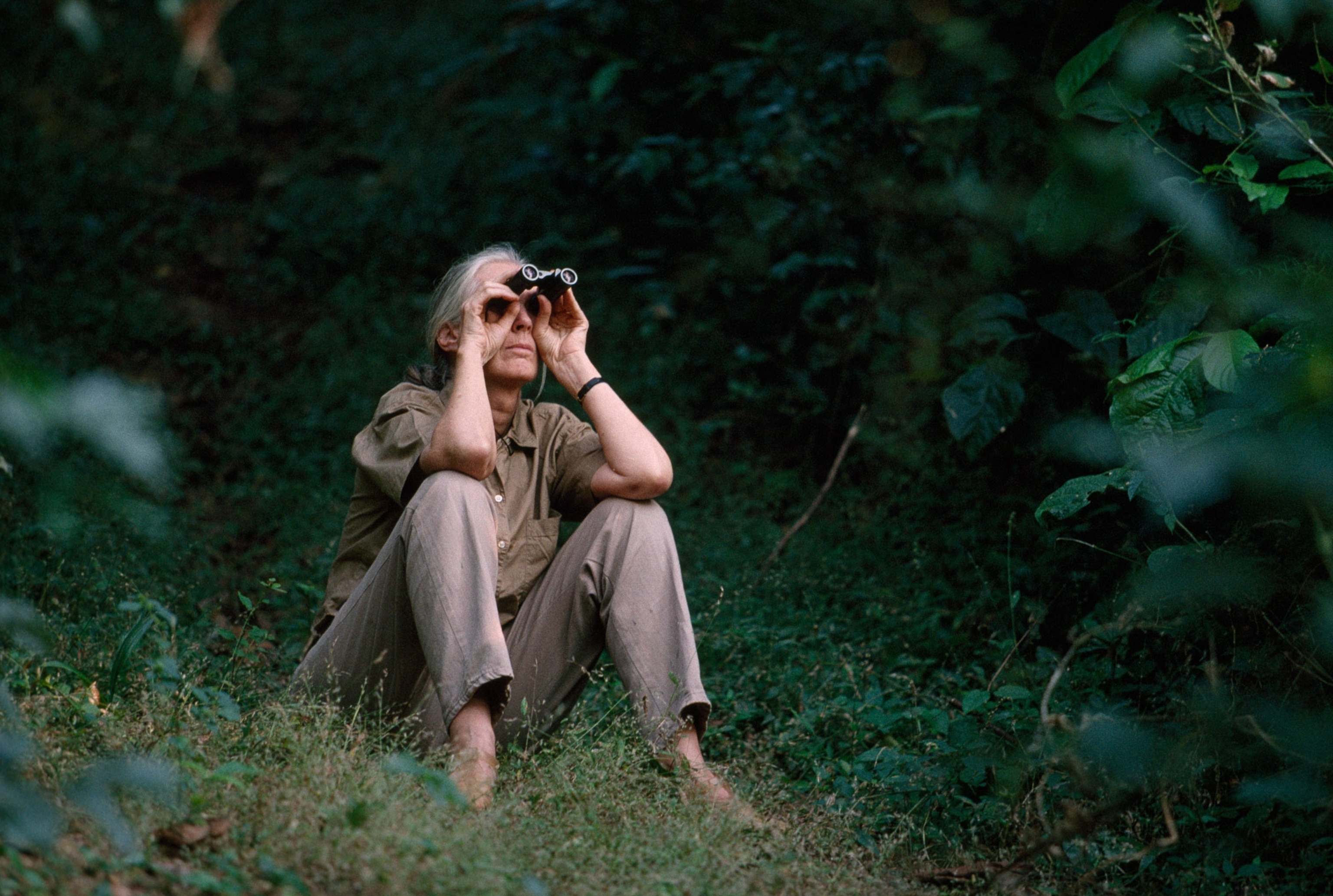Jane Goodall