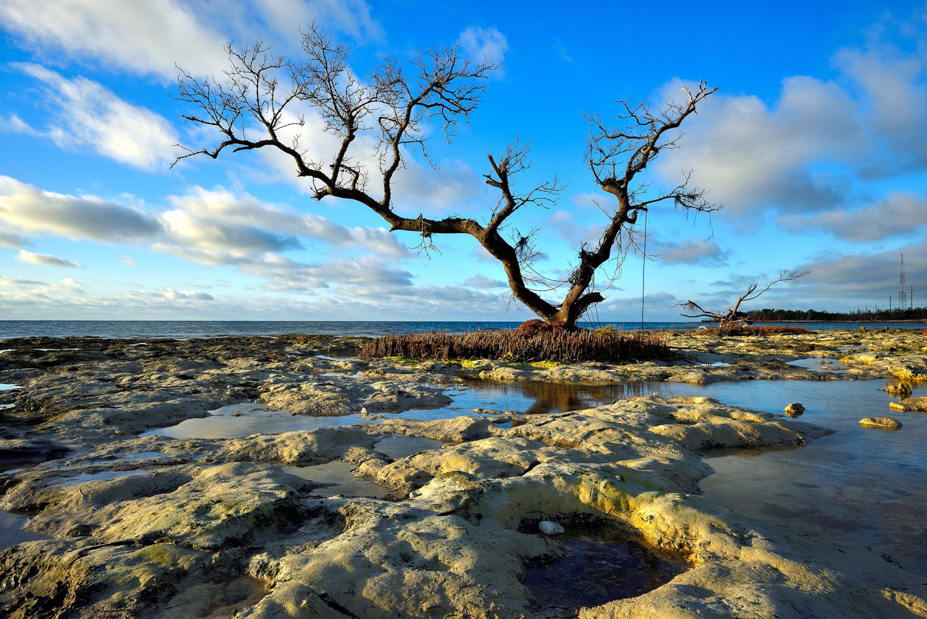 Bahia Honda State Park in Florida