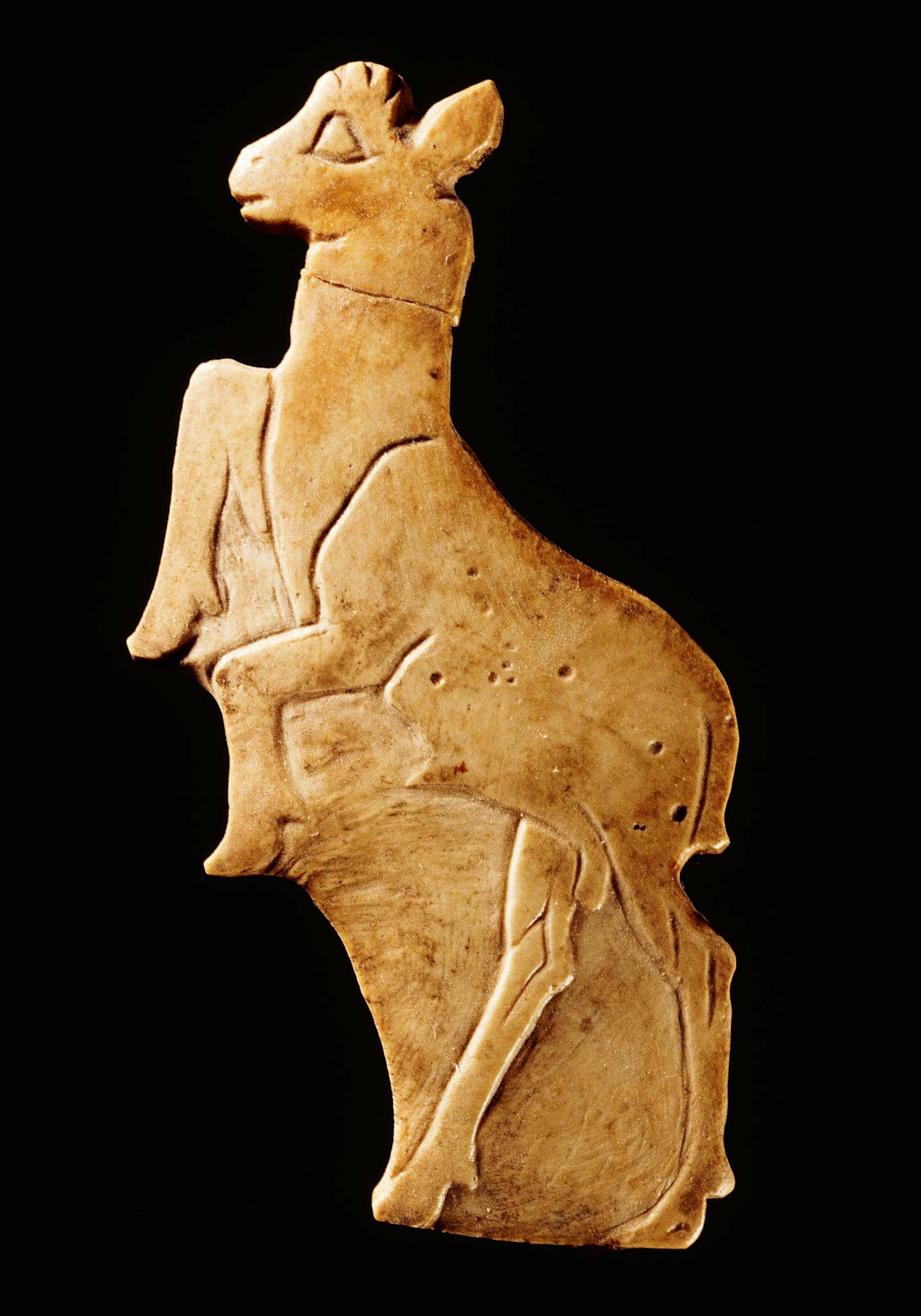Carved from a shell, a 3,000-year- old depictionof a young goat may have once decorated furniture.