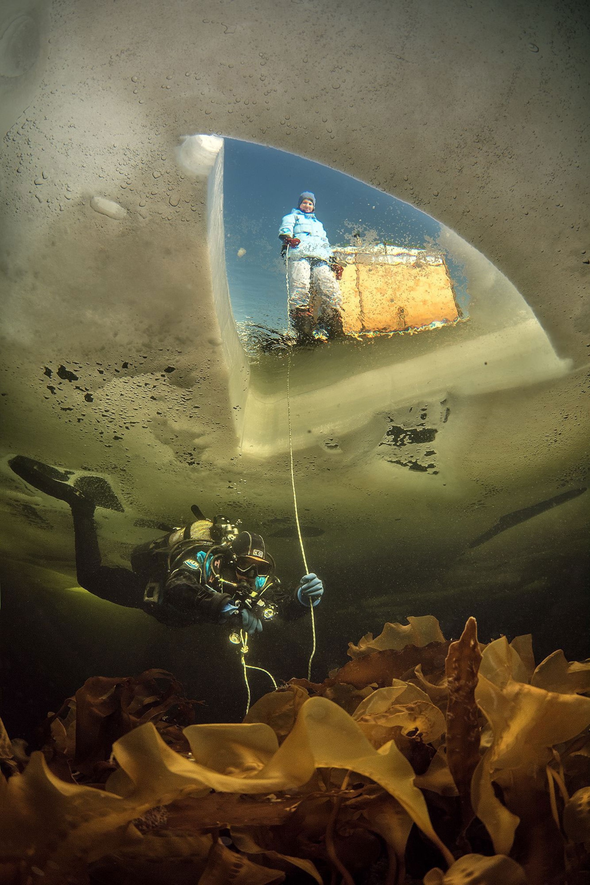 a diver in Russia's frozen white sea