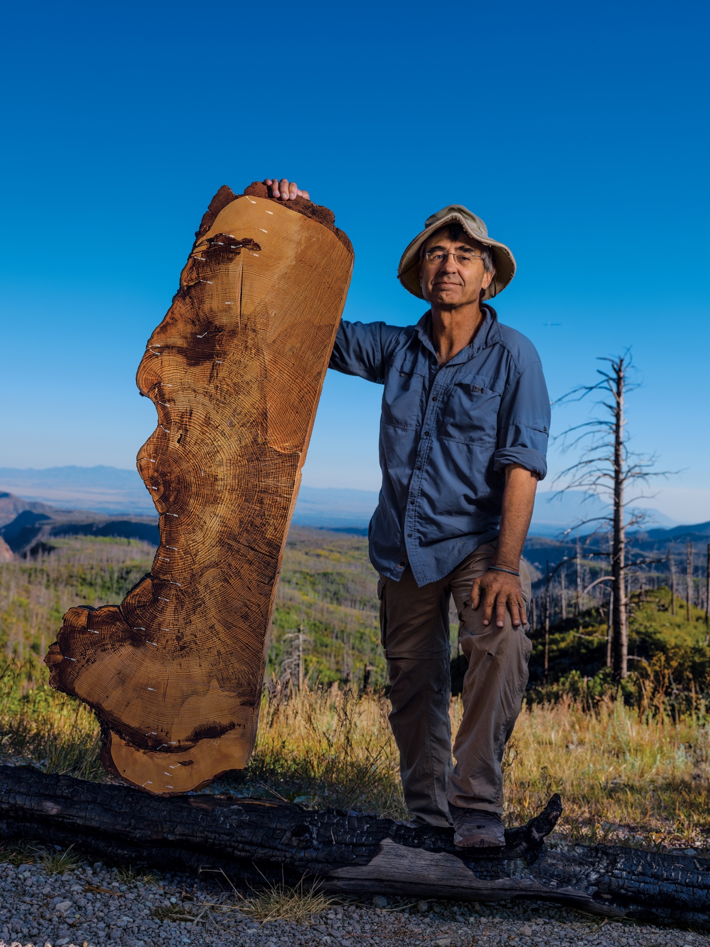 Picture of man standing by slice of huge tree trunk