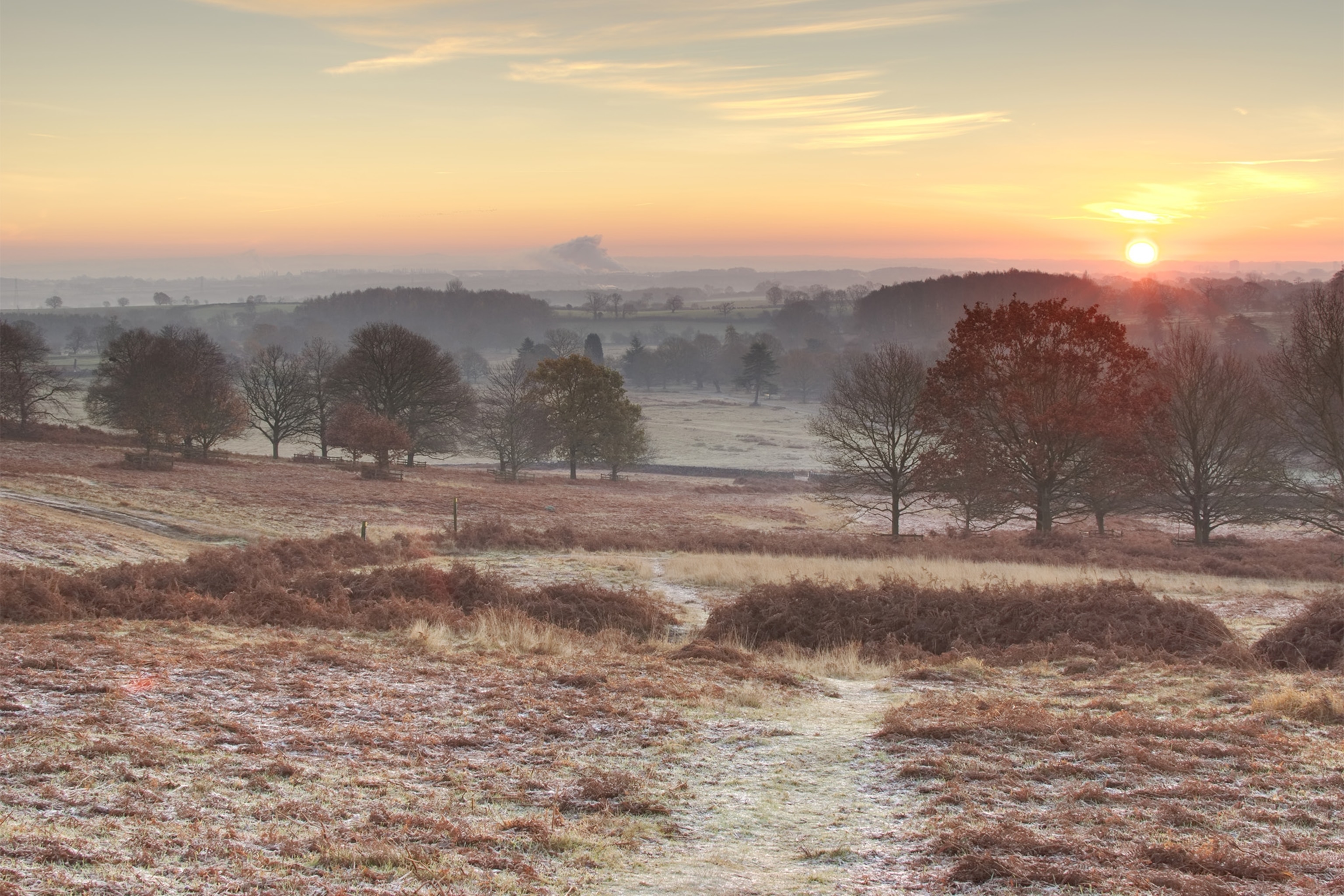 a wintry landscape with frost