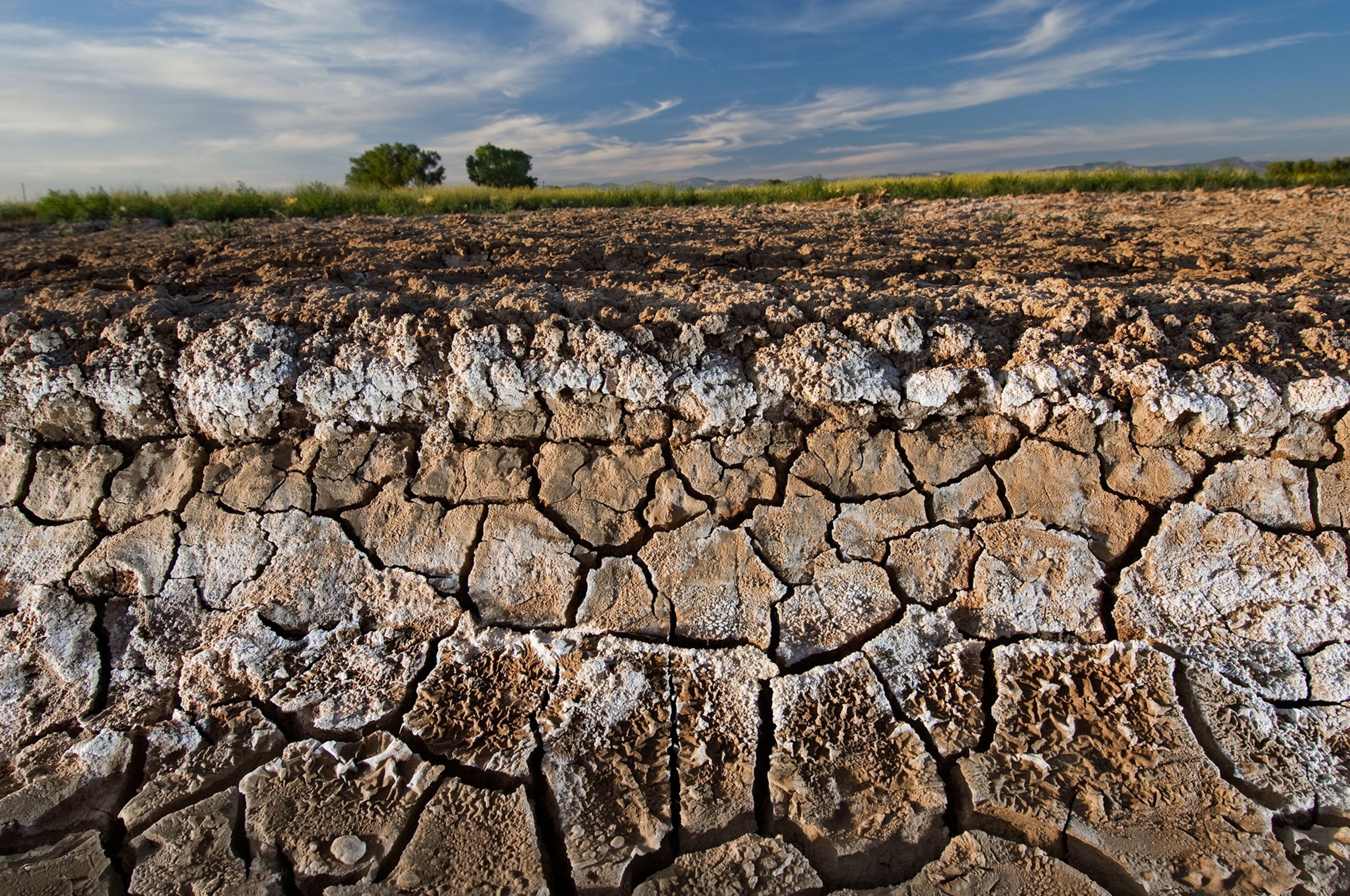 soil salinization