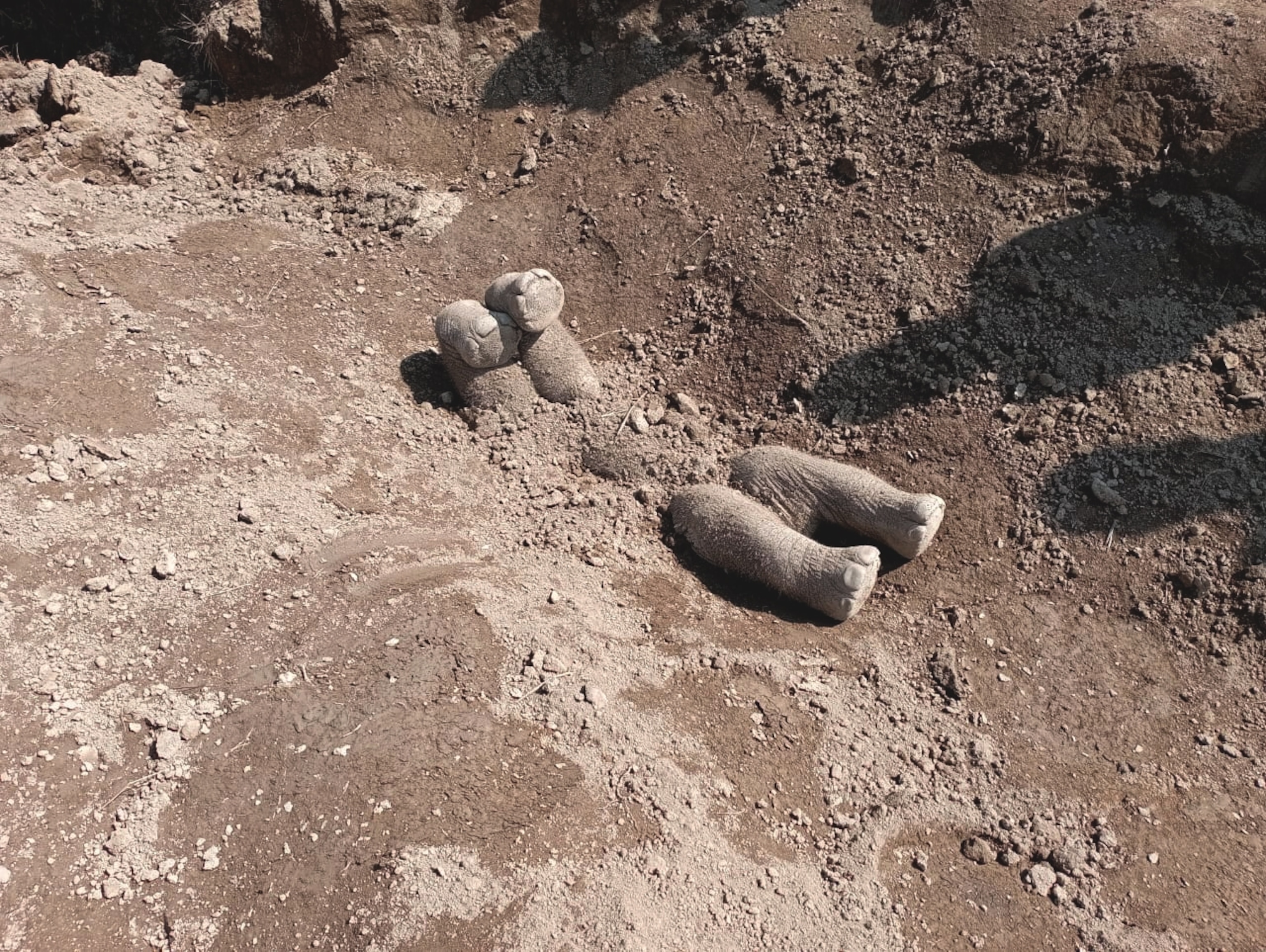 Small legs poking through the dirt.