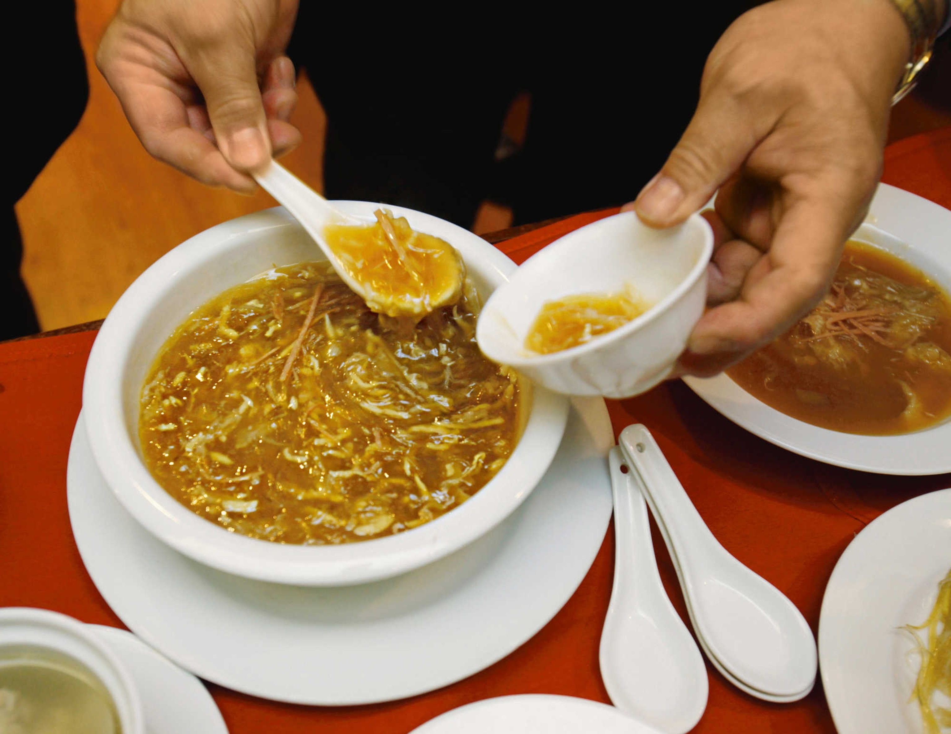 shark fin soup