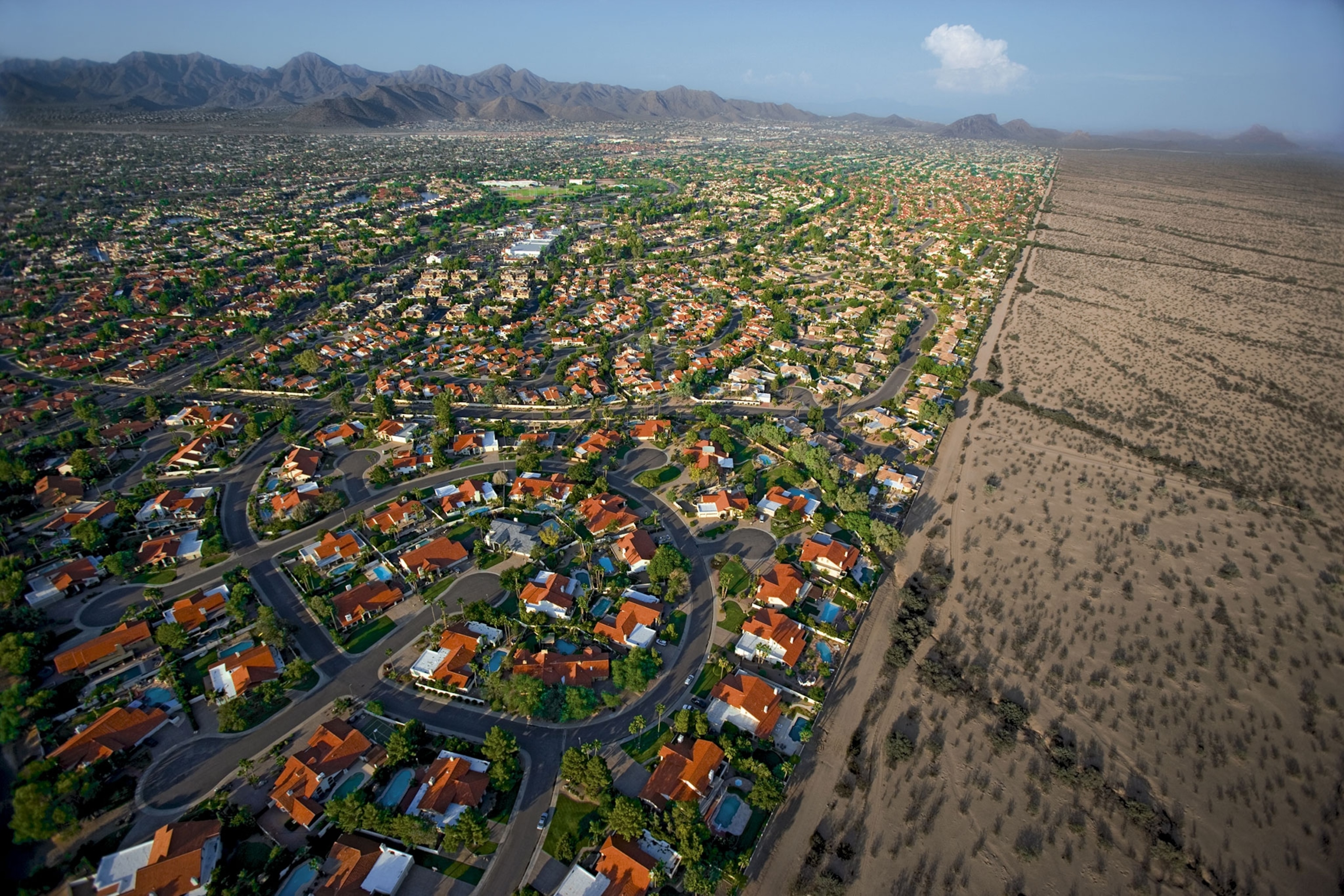 Phoenix