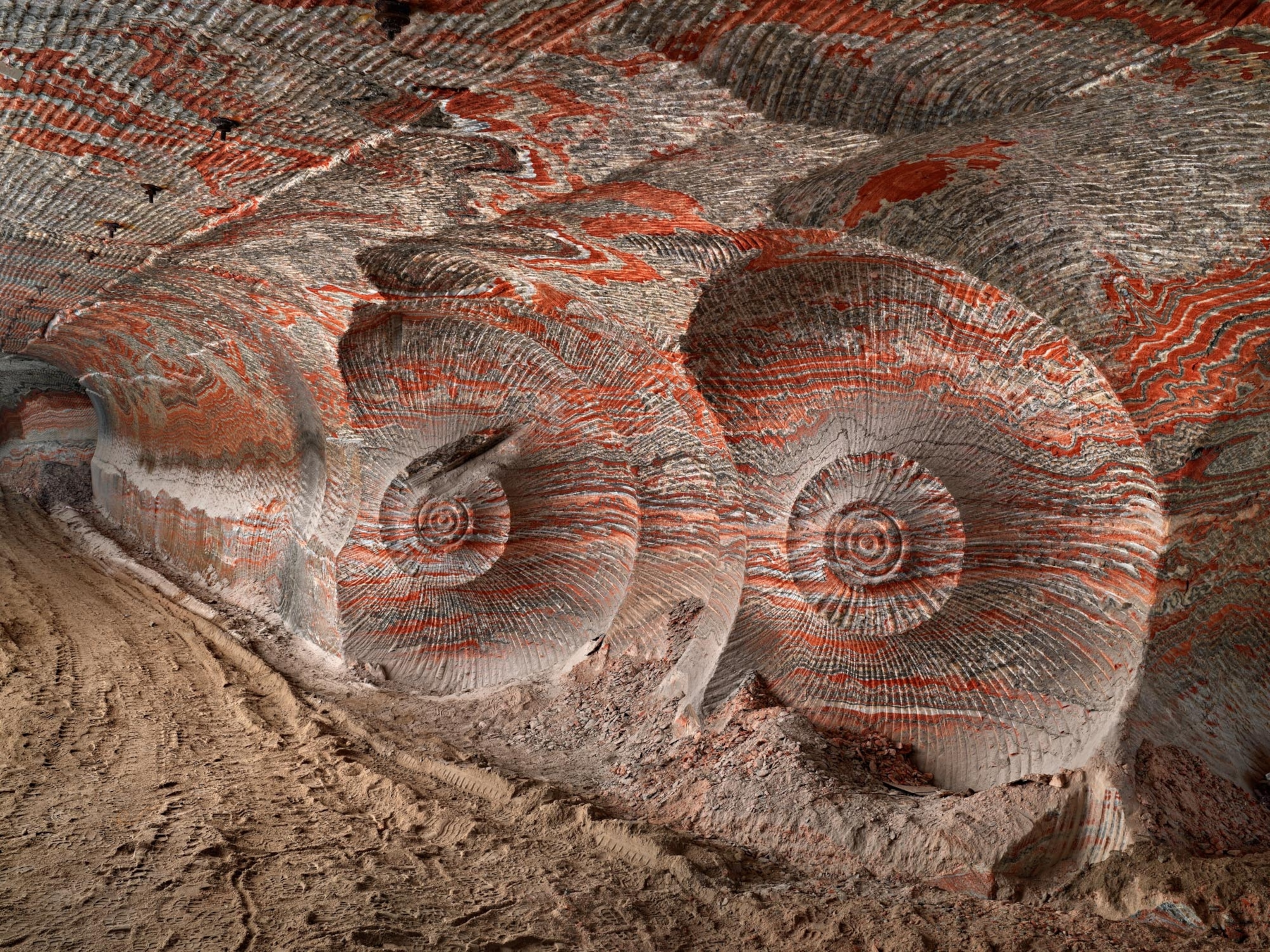nautilus-shell impressions