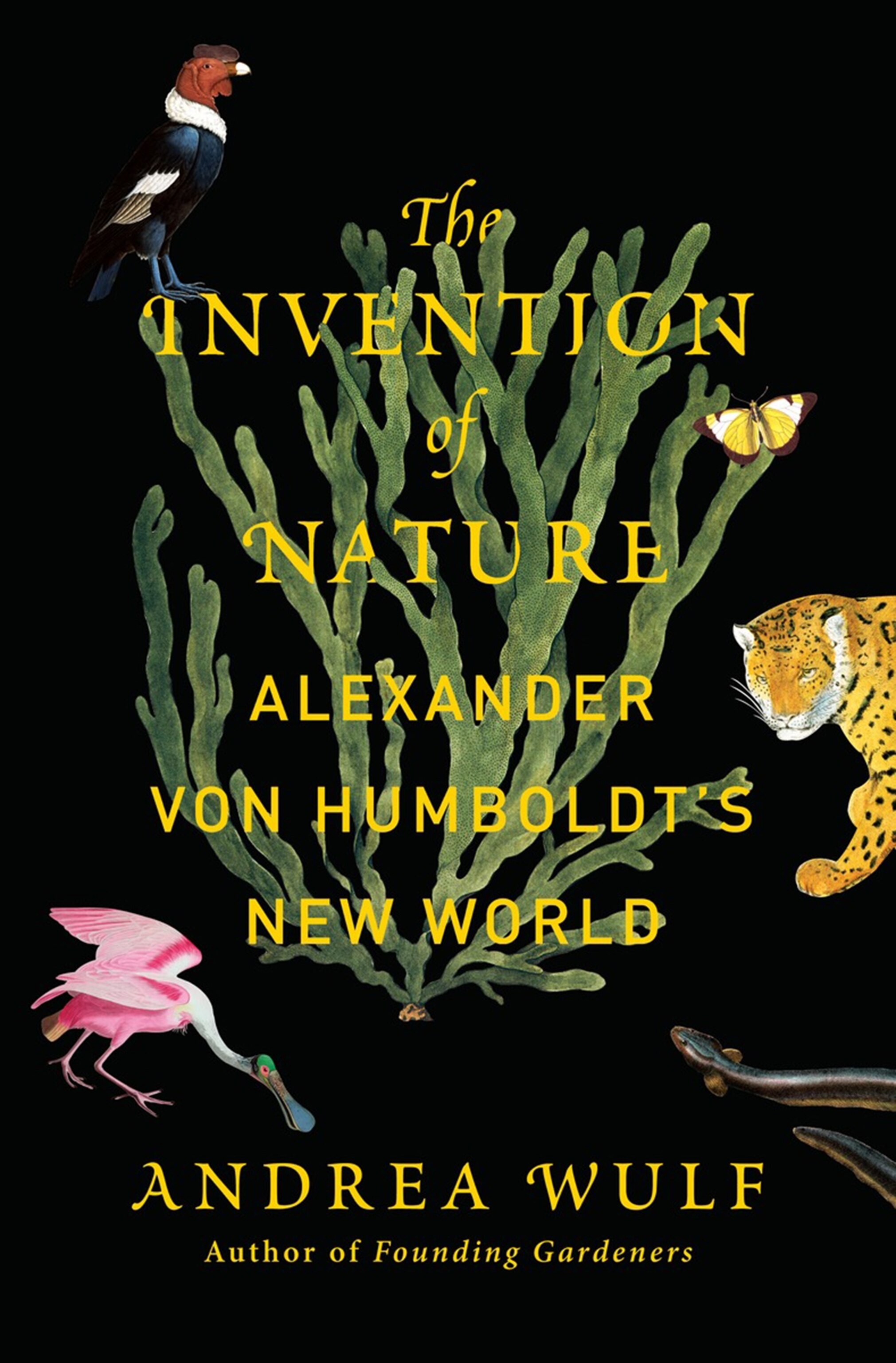 book jacket