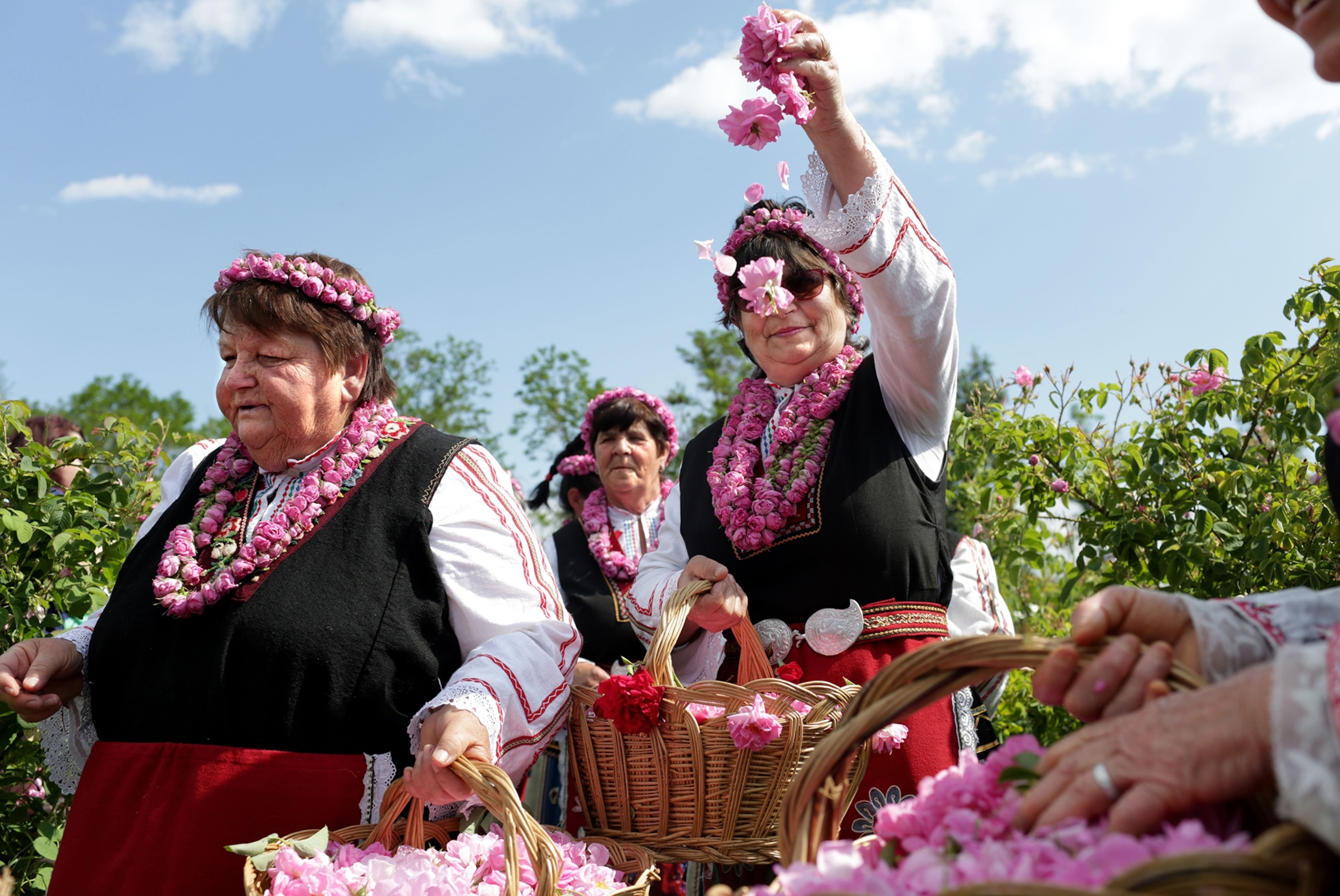 the rose festival in the Rose Valley in Bulgaria