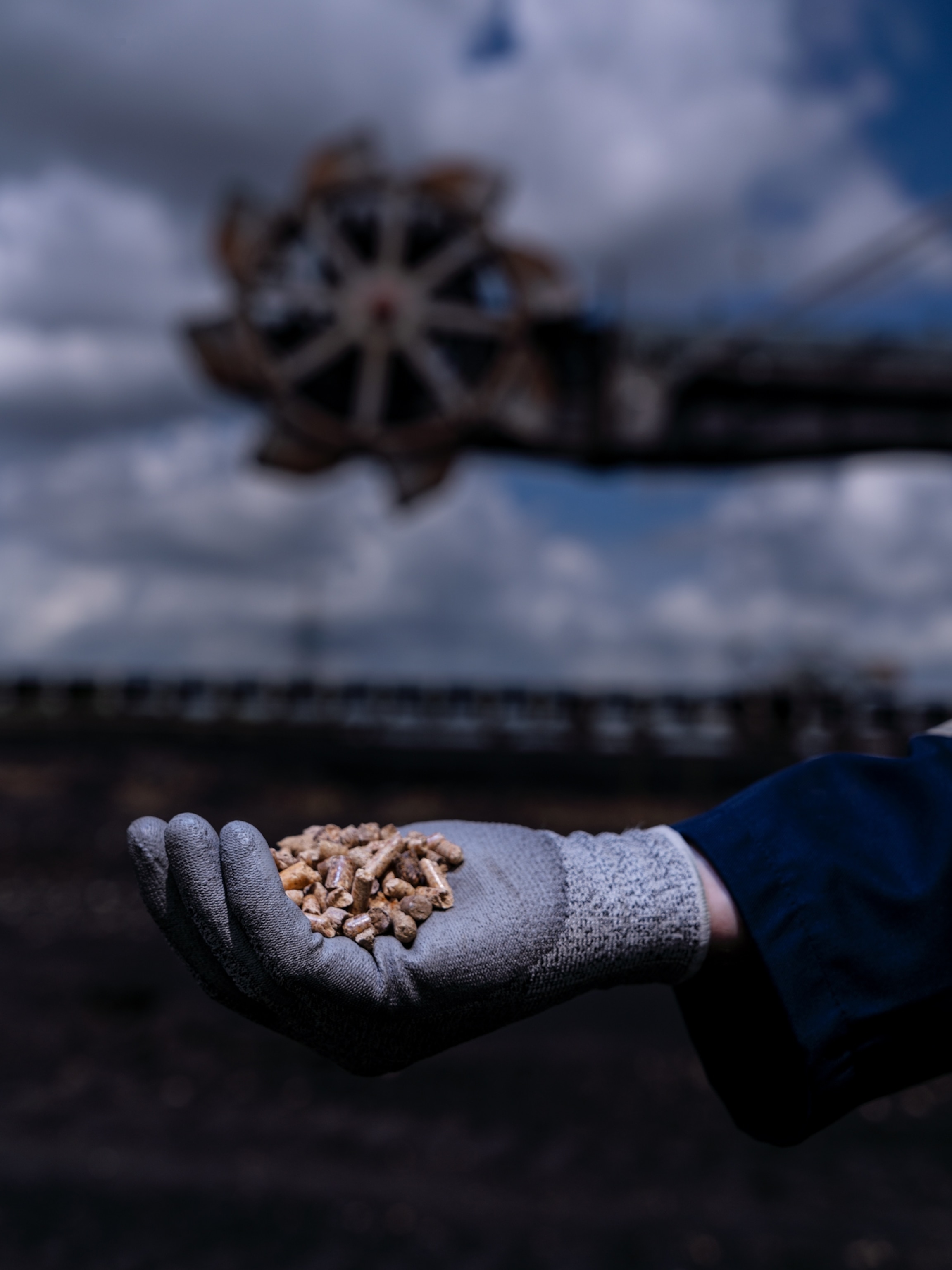 Human hand in glove holding pellets with structure on the background out of focus.