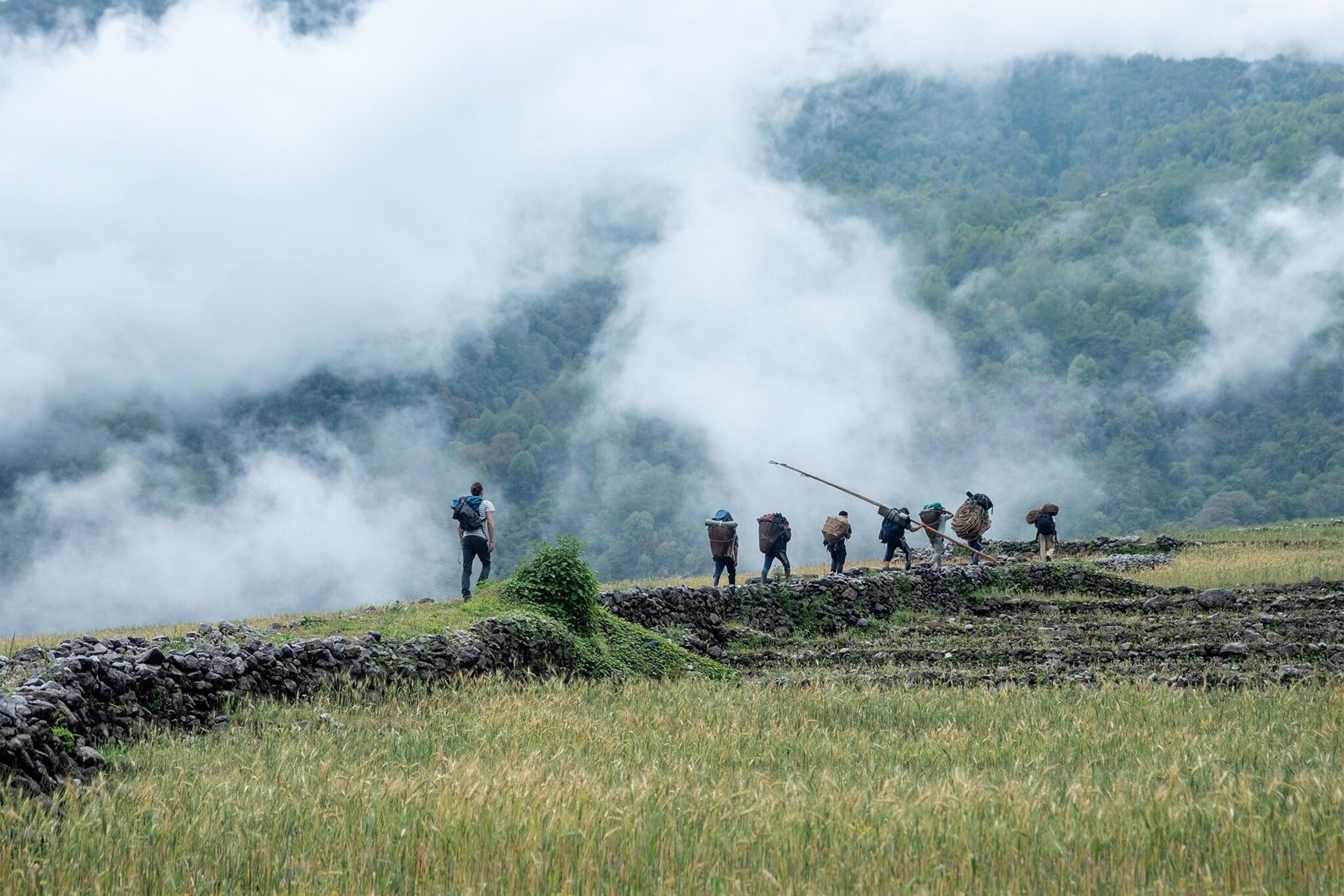 The honey hunters with porters to carry their food, water and equipment, and head into the forest to face the largest honeybees in the world