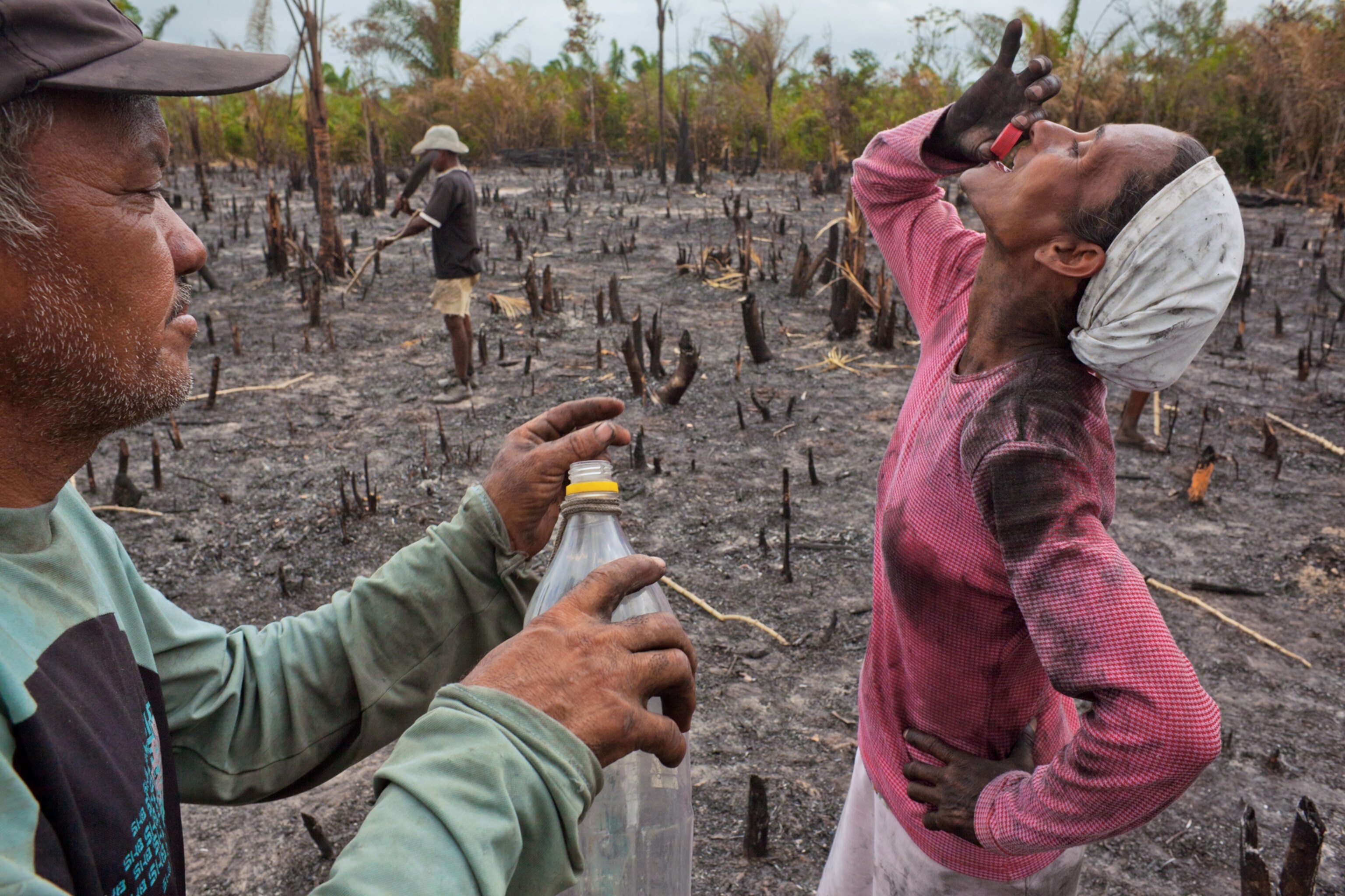 Sugarcane Shot