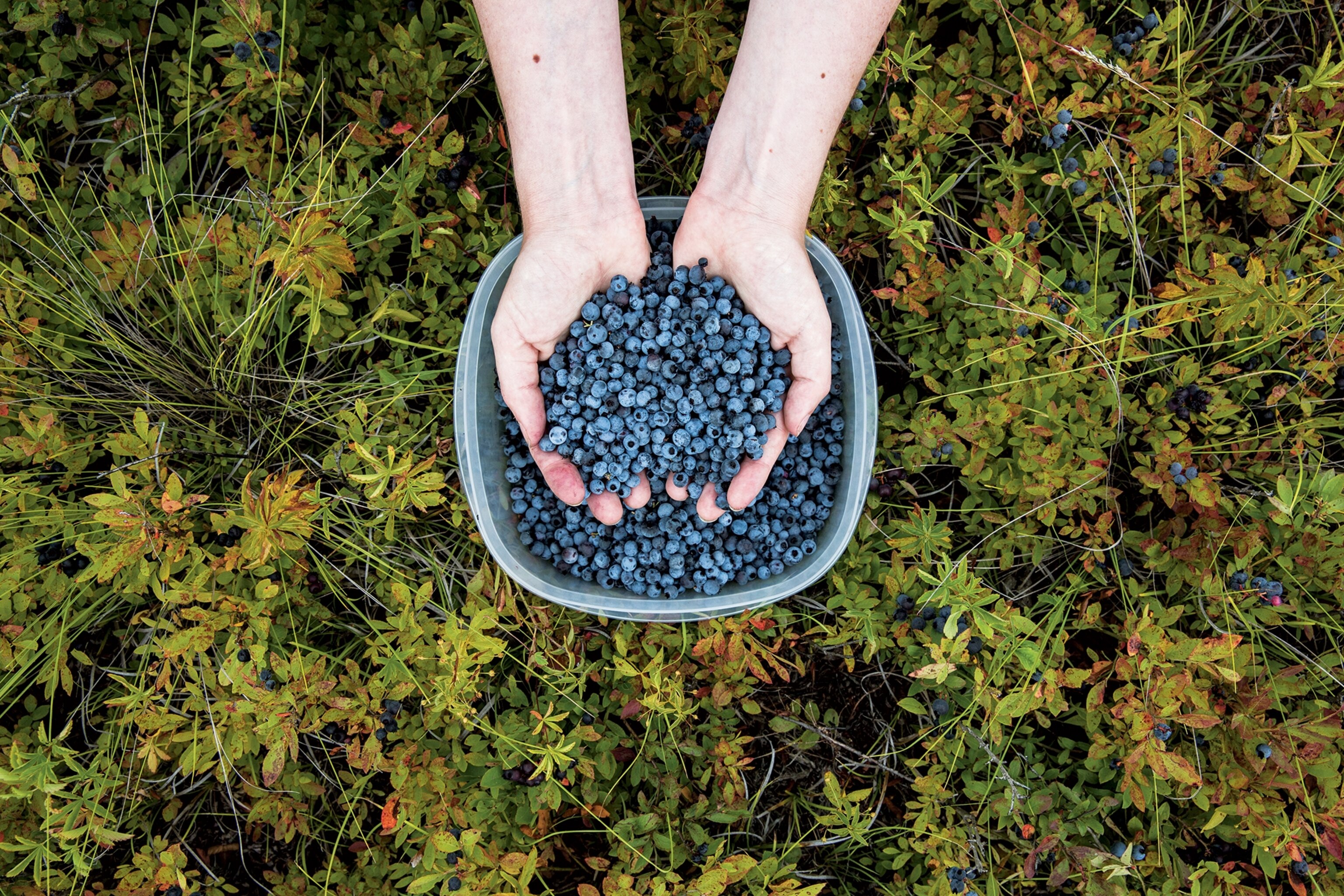 Maine