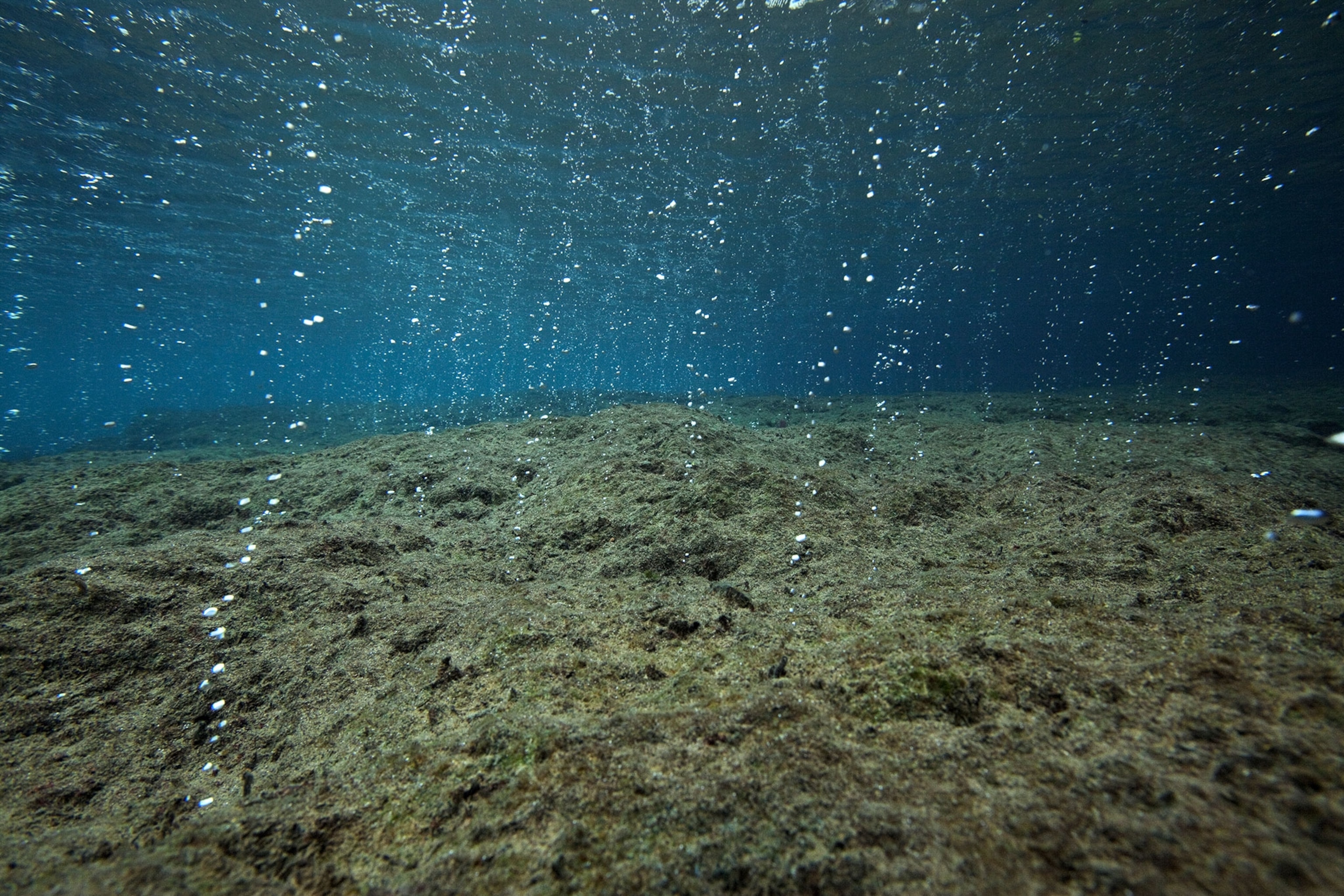 carbon dioxide bubbles in the ocean