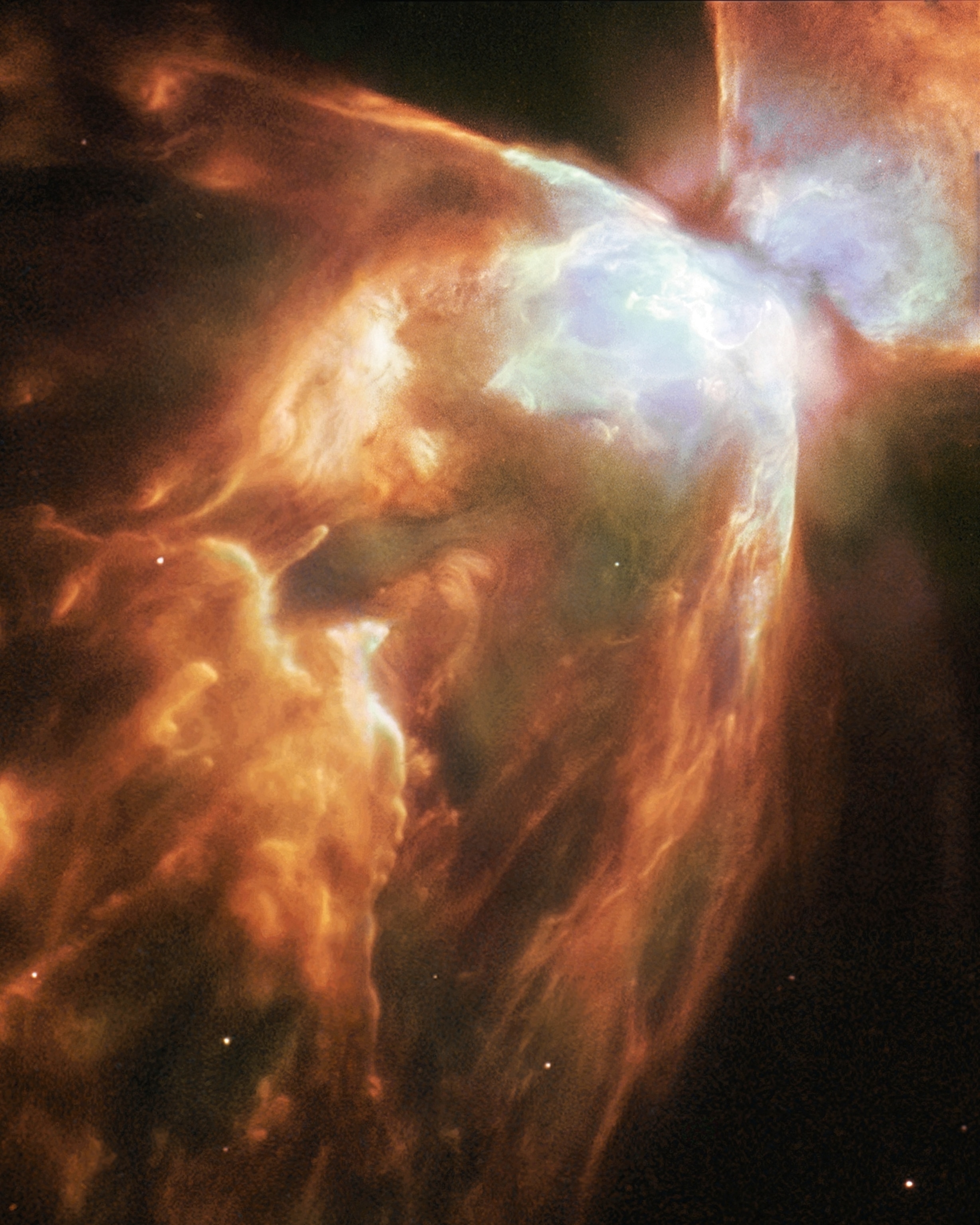 Butterfly Nebula