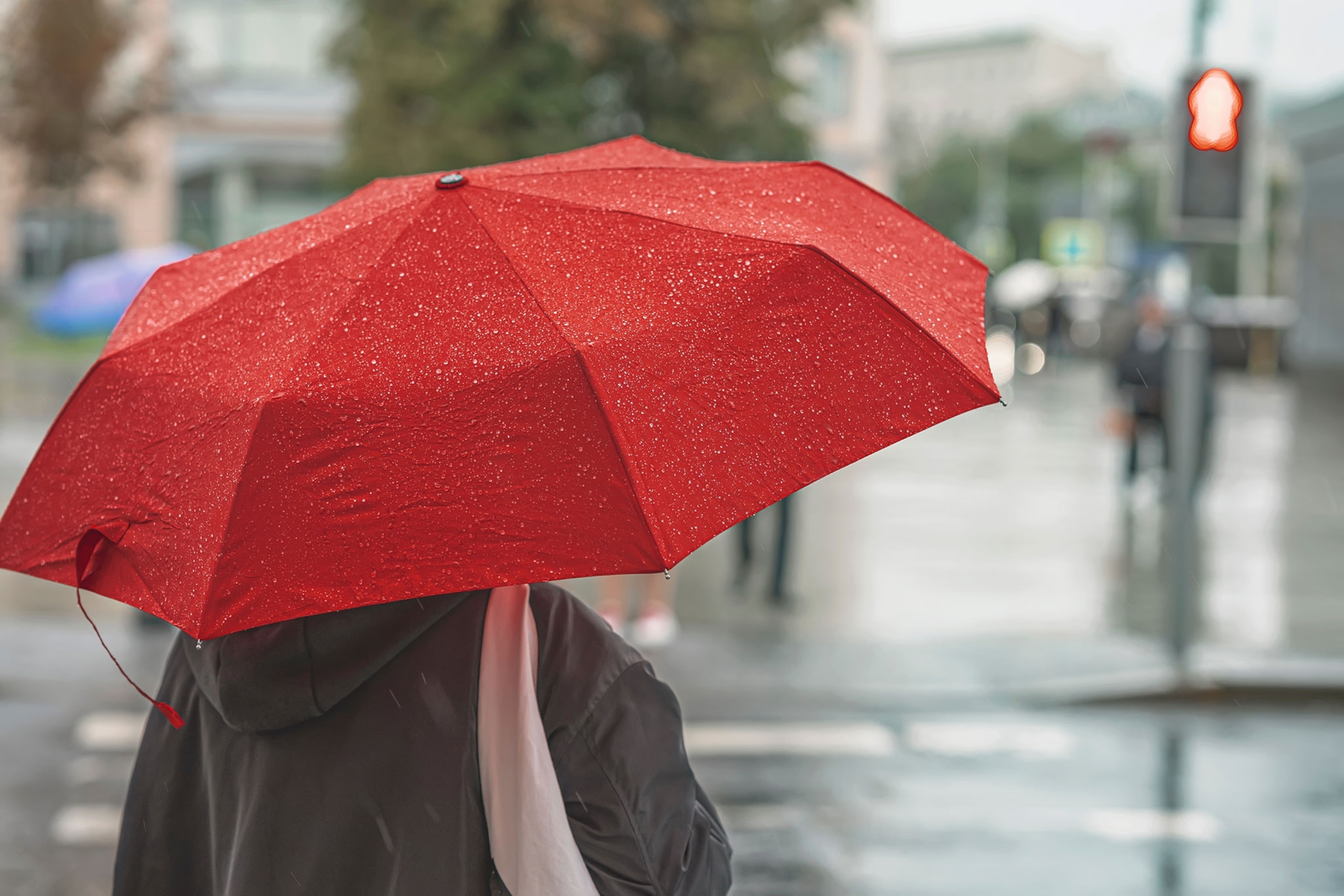 Person holding a red umbrella on the street.