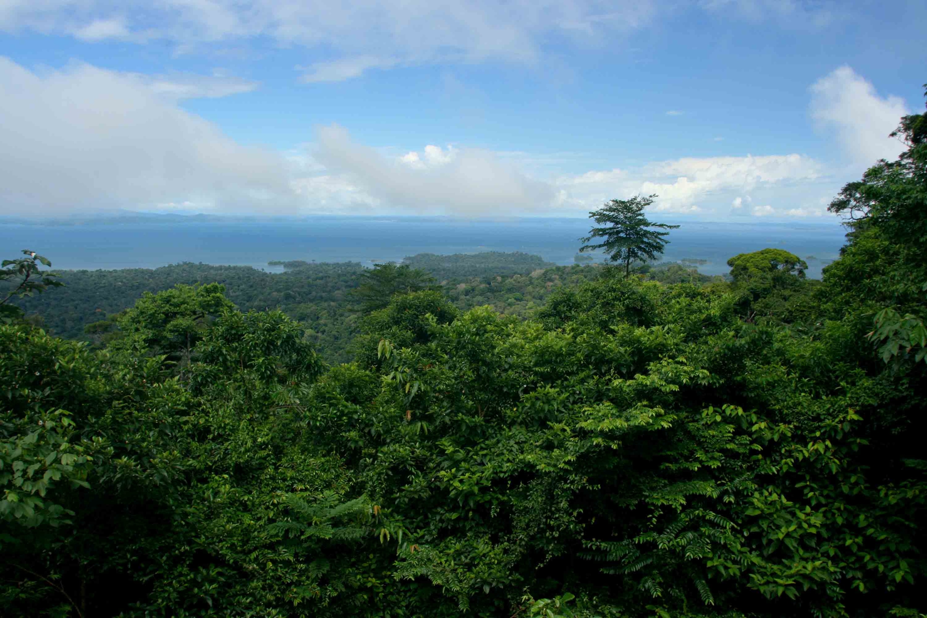the Suriname River seen over trees in the Brownsberg Nature Reserve in Suriname