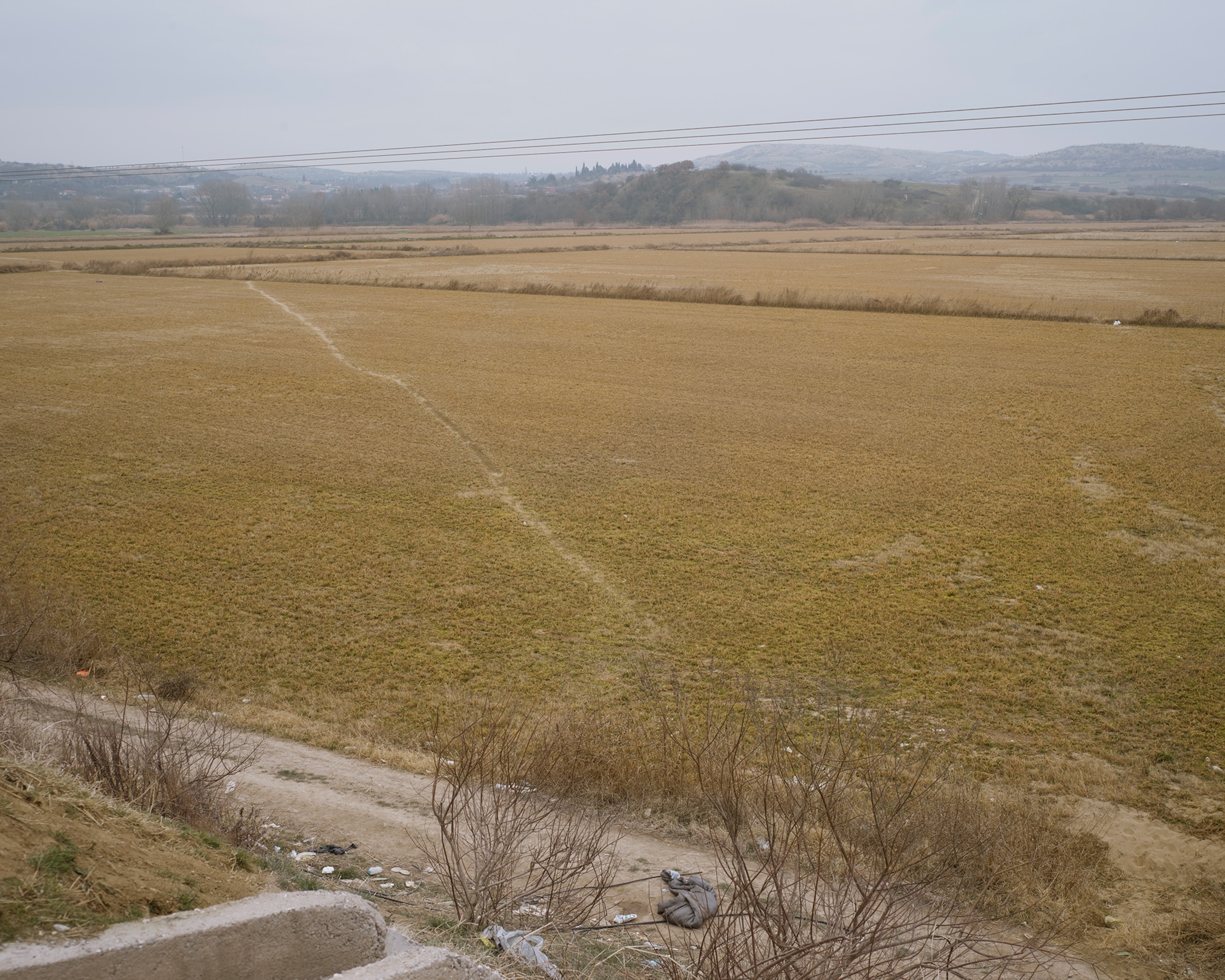 an open field