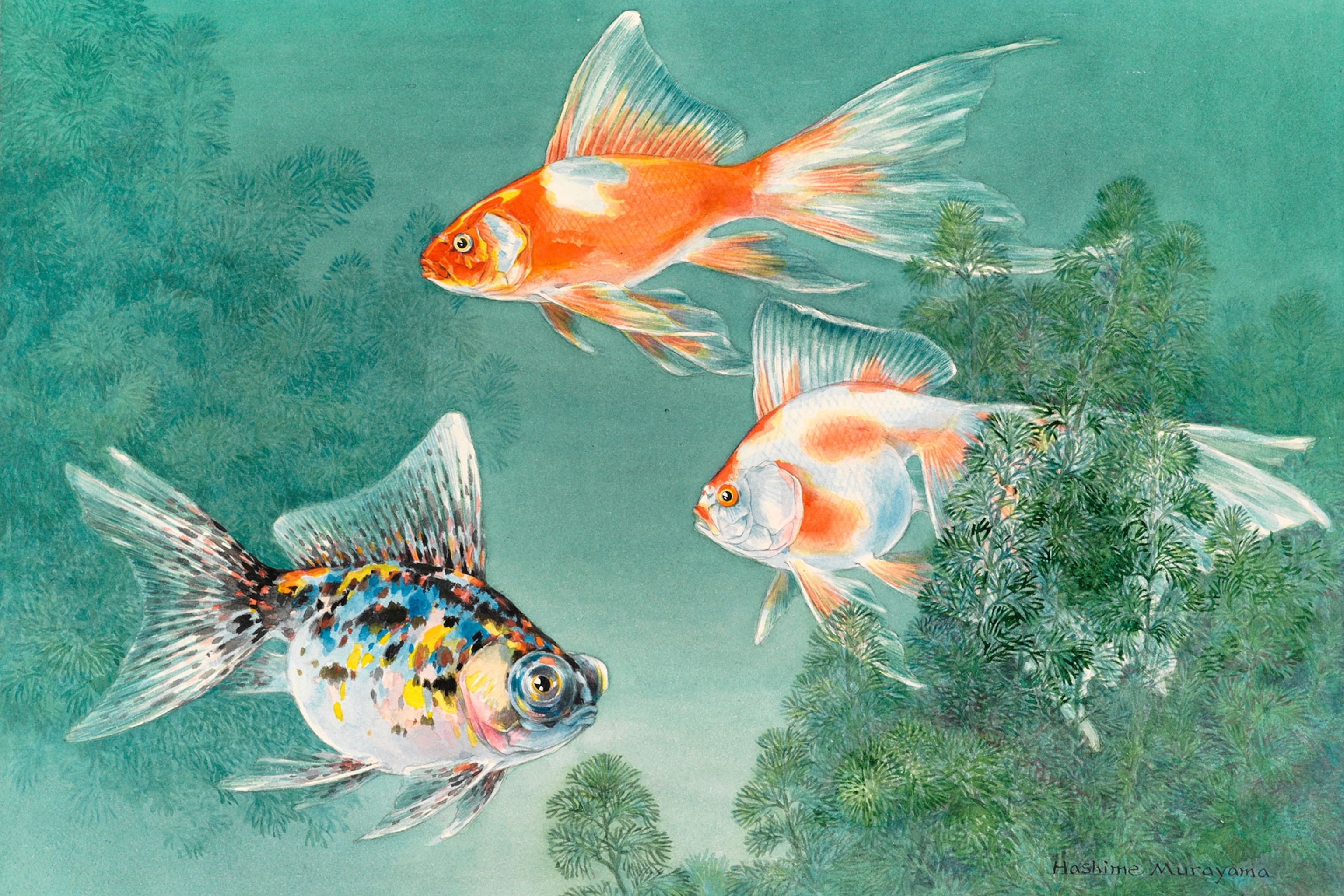 an illustration of goldfish