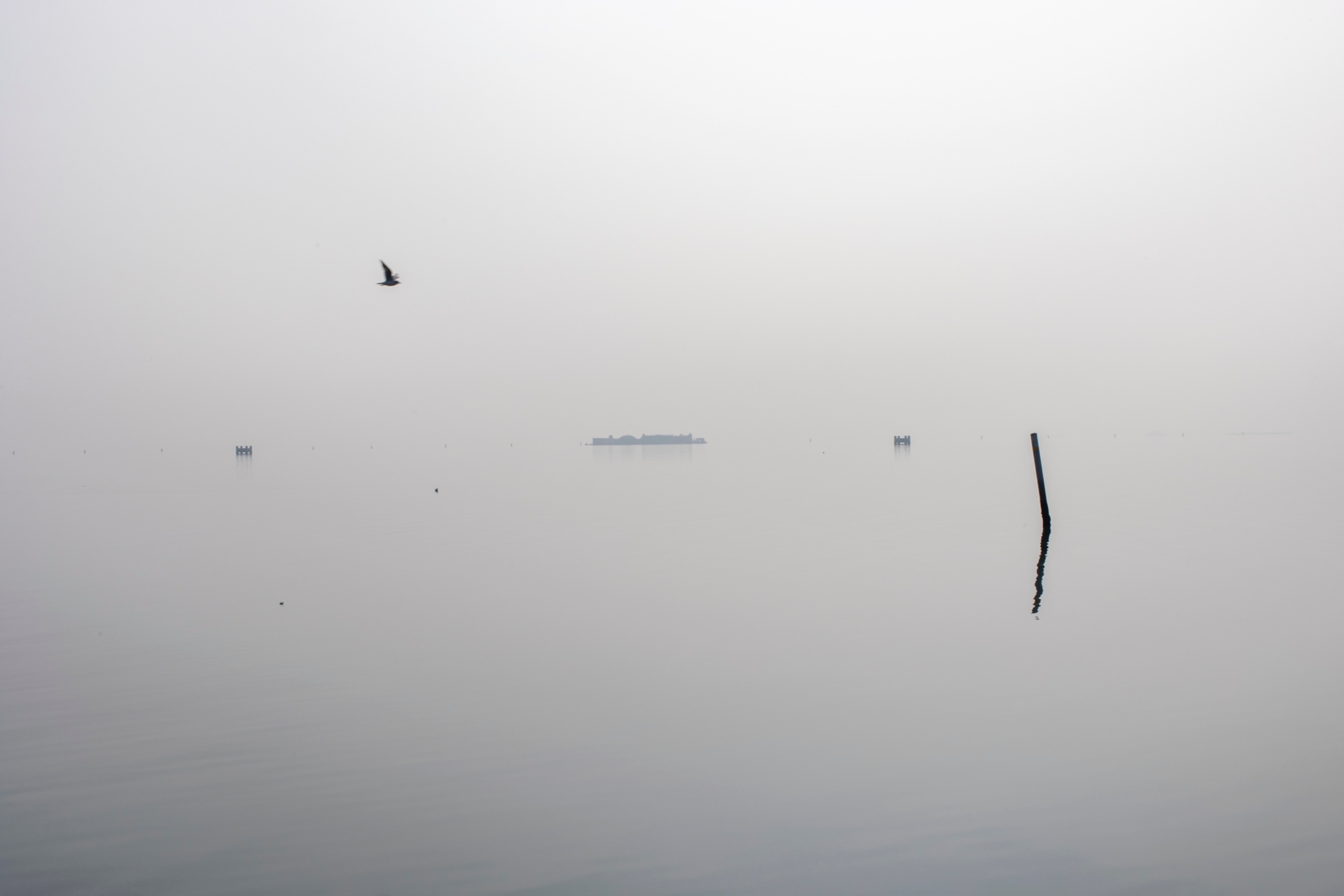 A foggy lagoon landscape