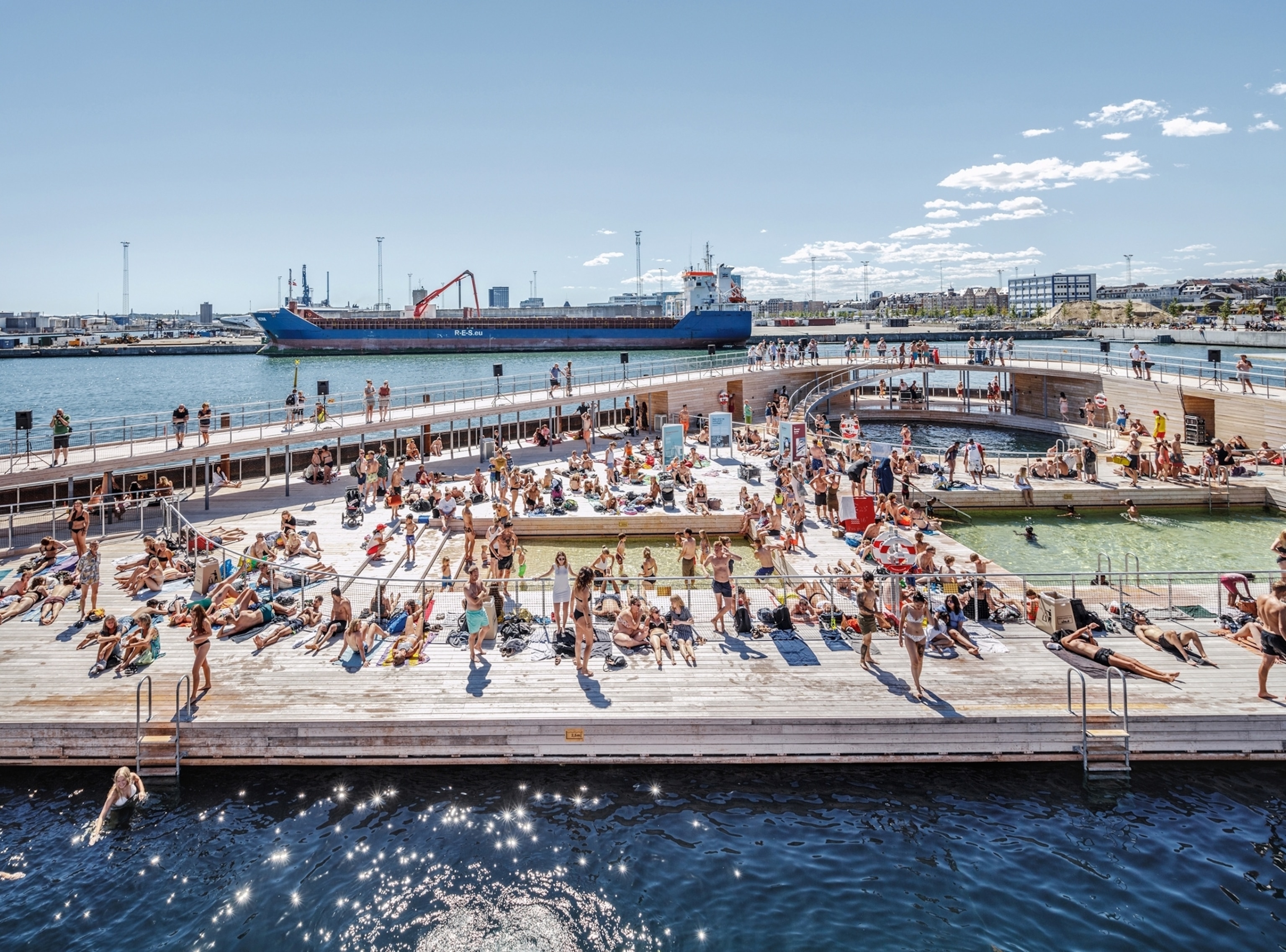 people sun bathing and swimming.