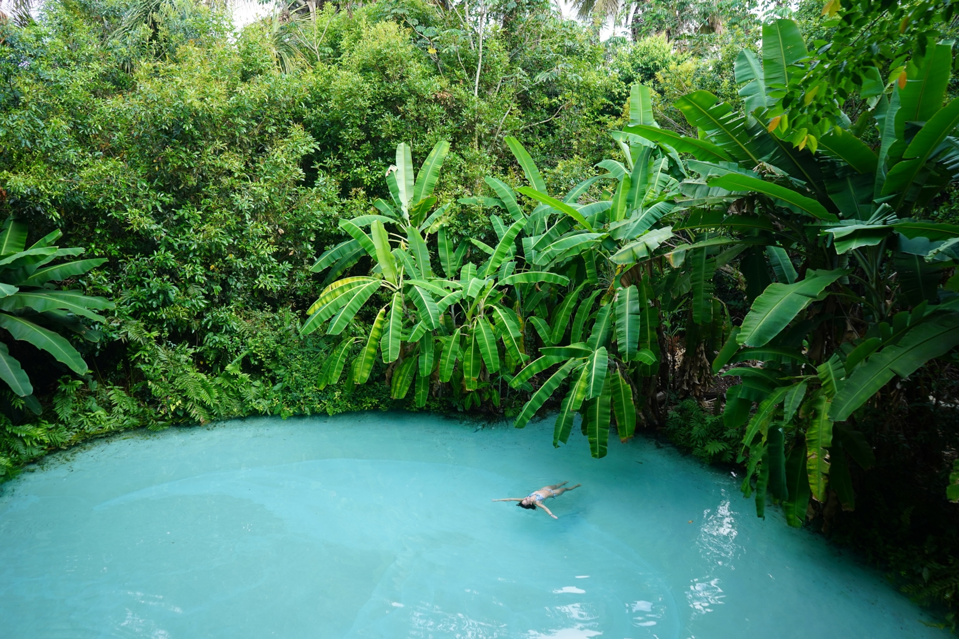 swimming in a fervedour Cerrado, Brazil