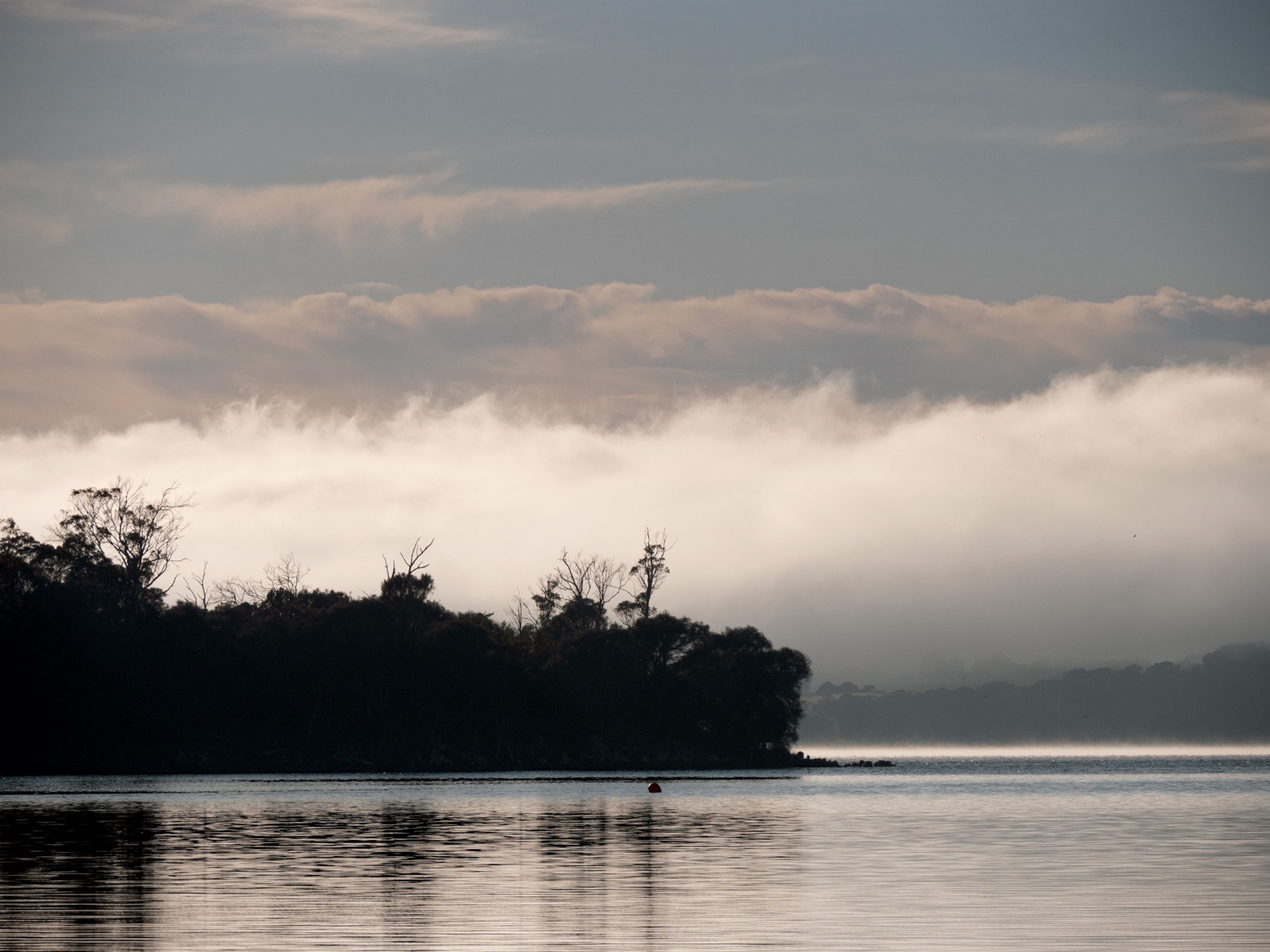 tamar river tasmania, australia