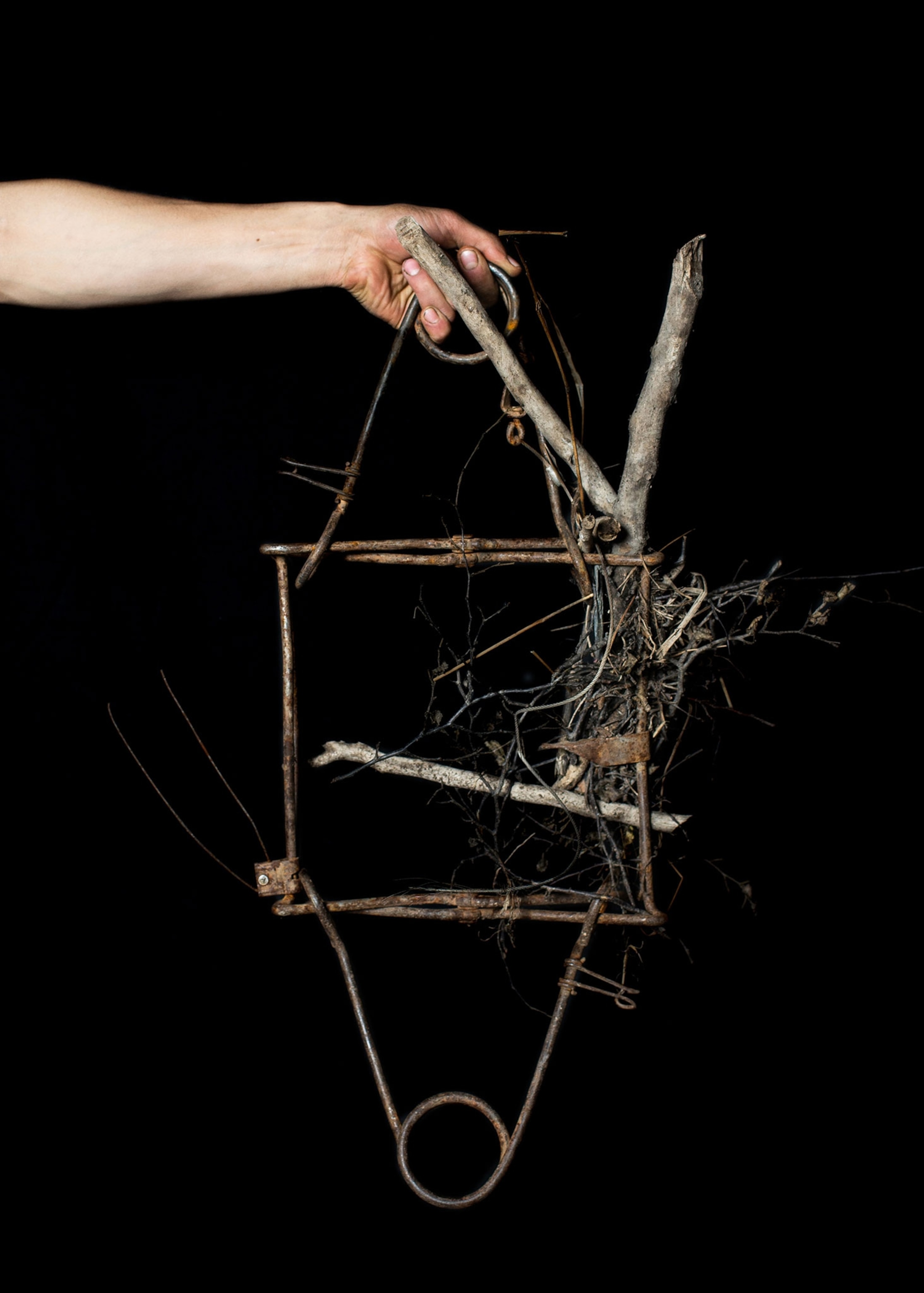 a beaver trap