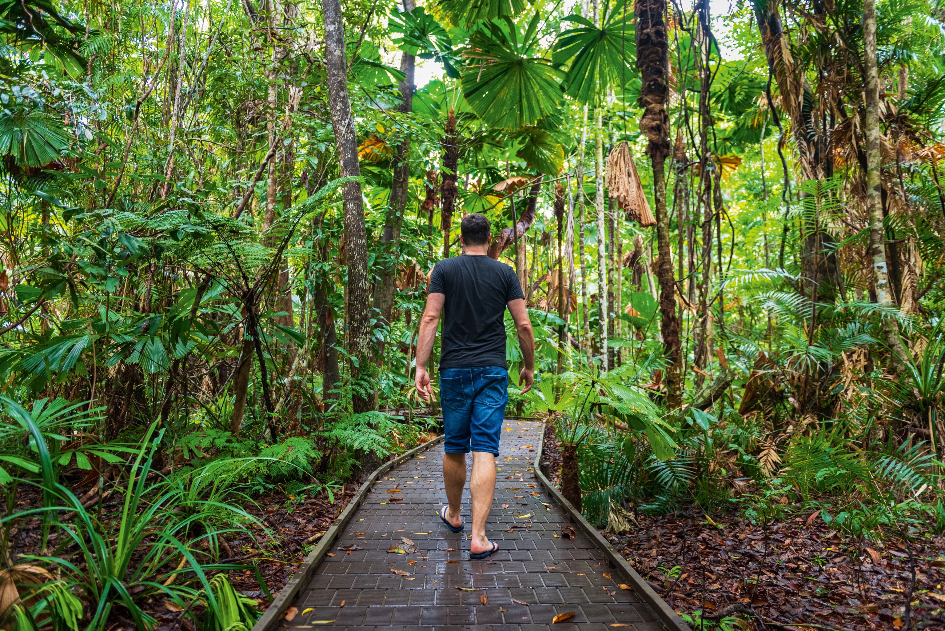 man walking through paved forest path