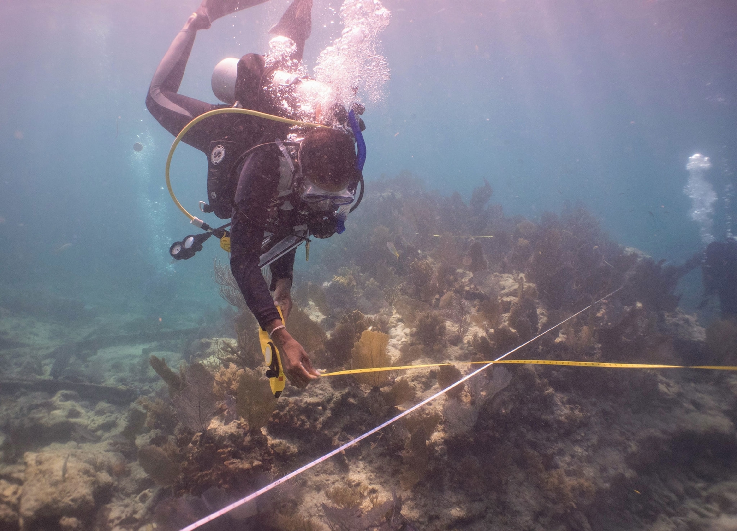 a diver documenting a shipwreck