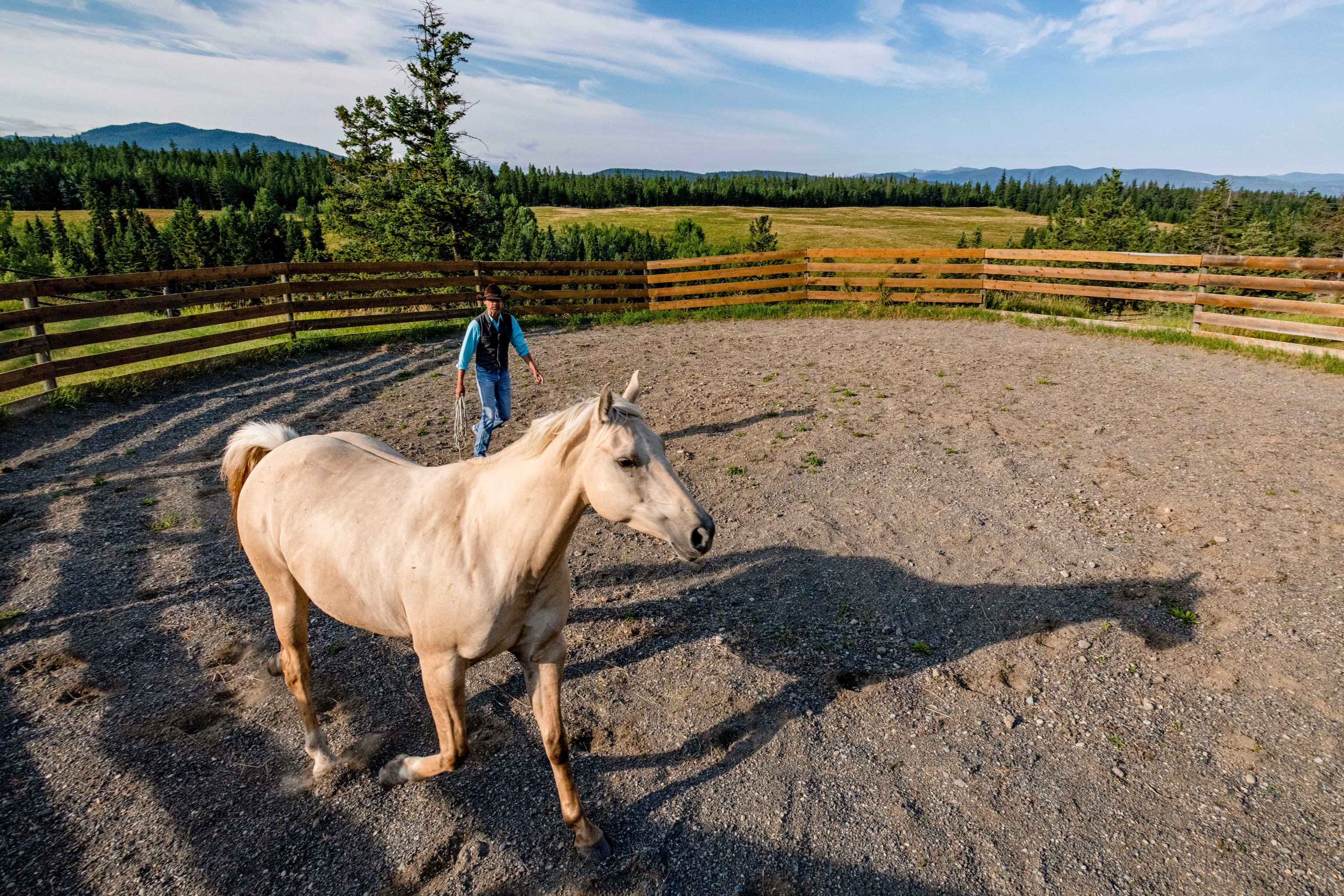 A white horse in a pen with a wrangler by its side and forests and hills in the background.