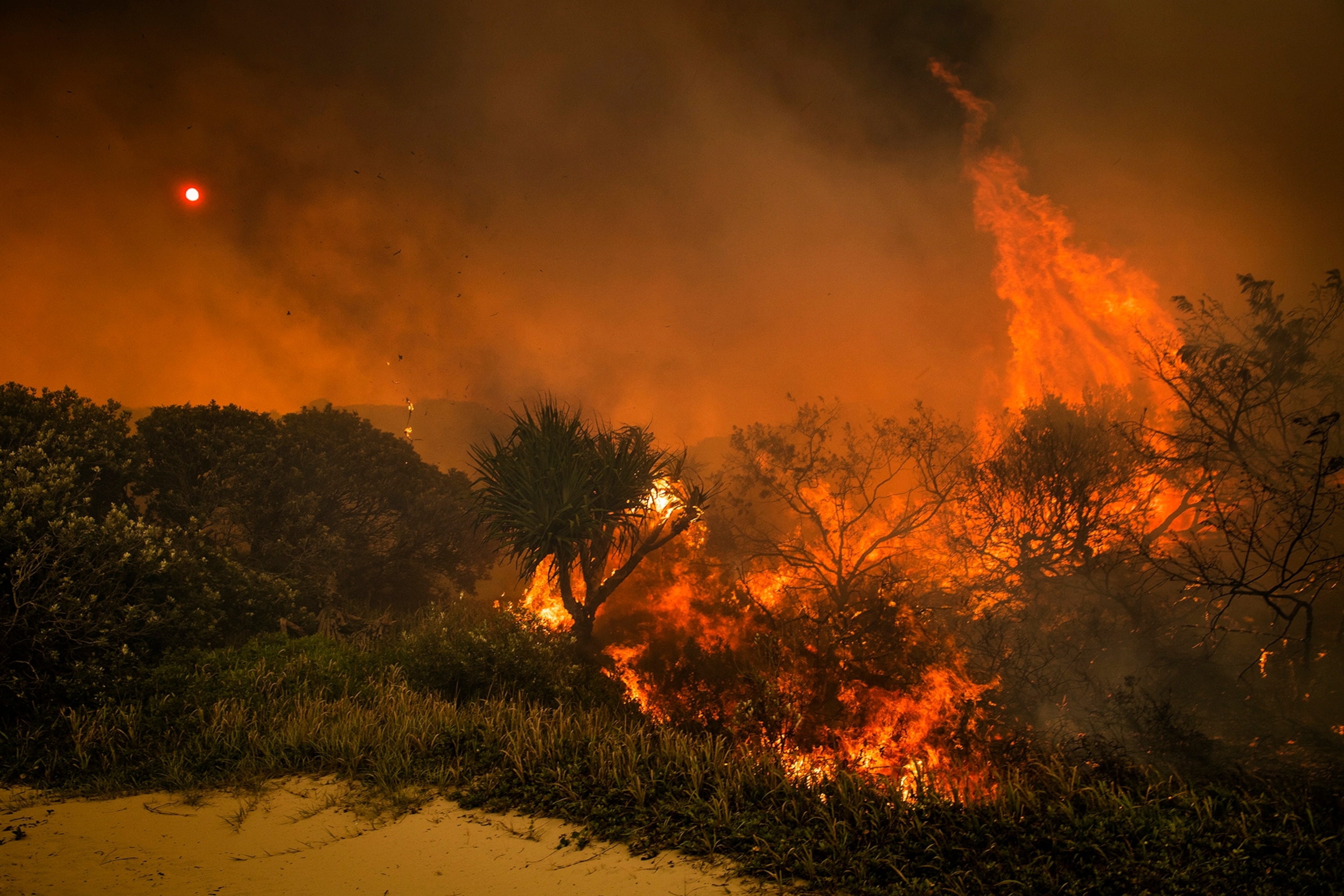 Fire burns on Australia's Fraser Island.