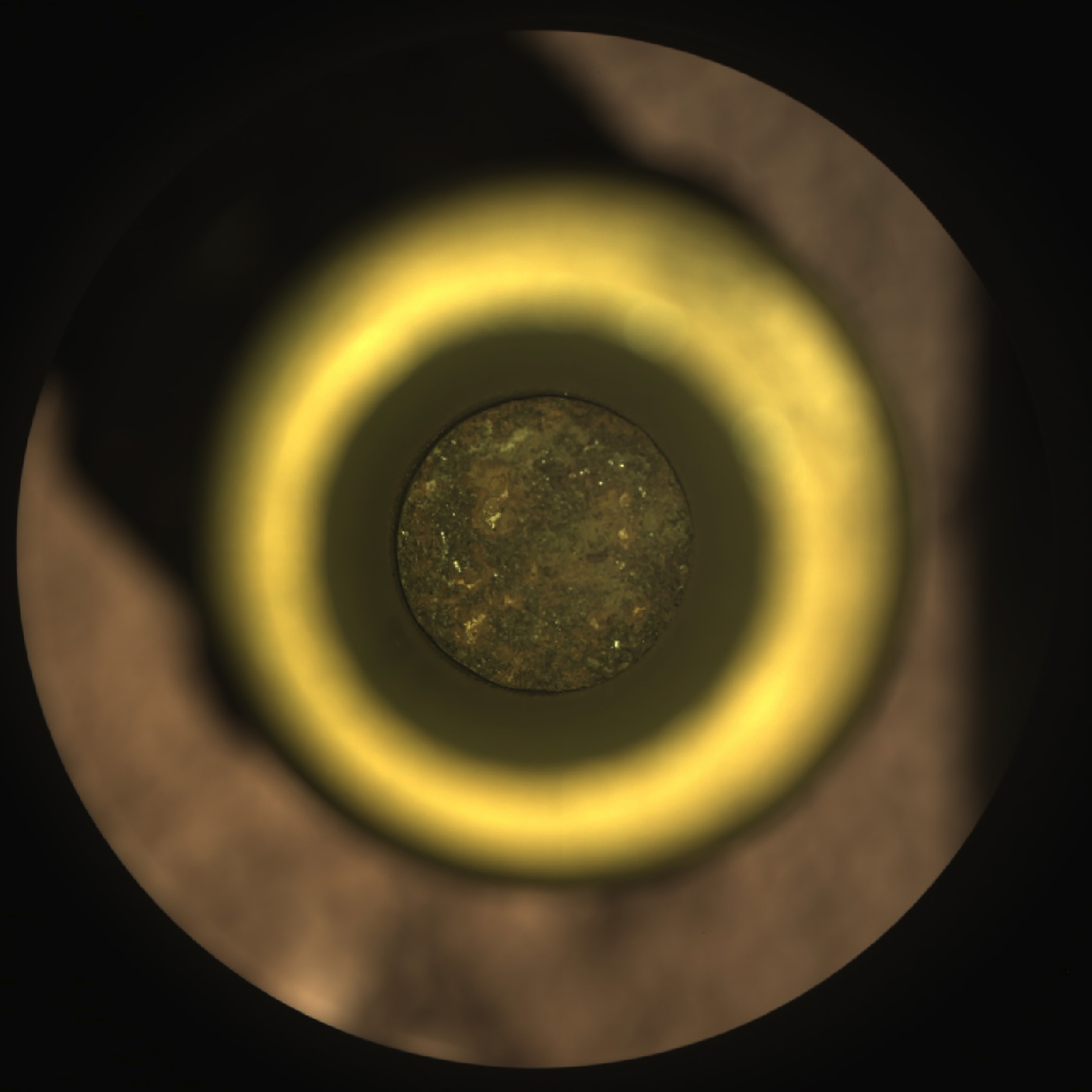 Picture of the first cored sample of Mars rock is visible (at center) inside a titanium sample collection tube in this from the Sampling and Caching System Camera