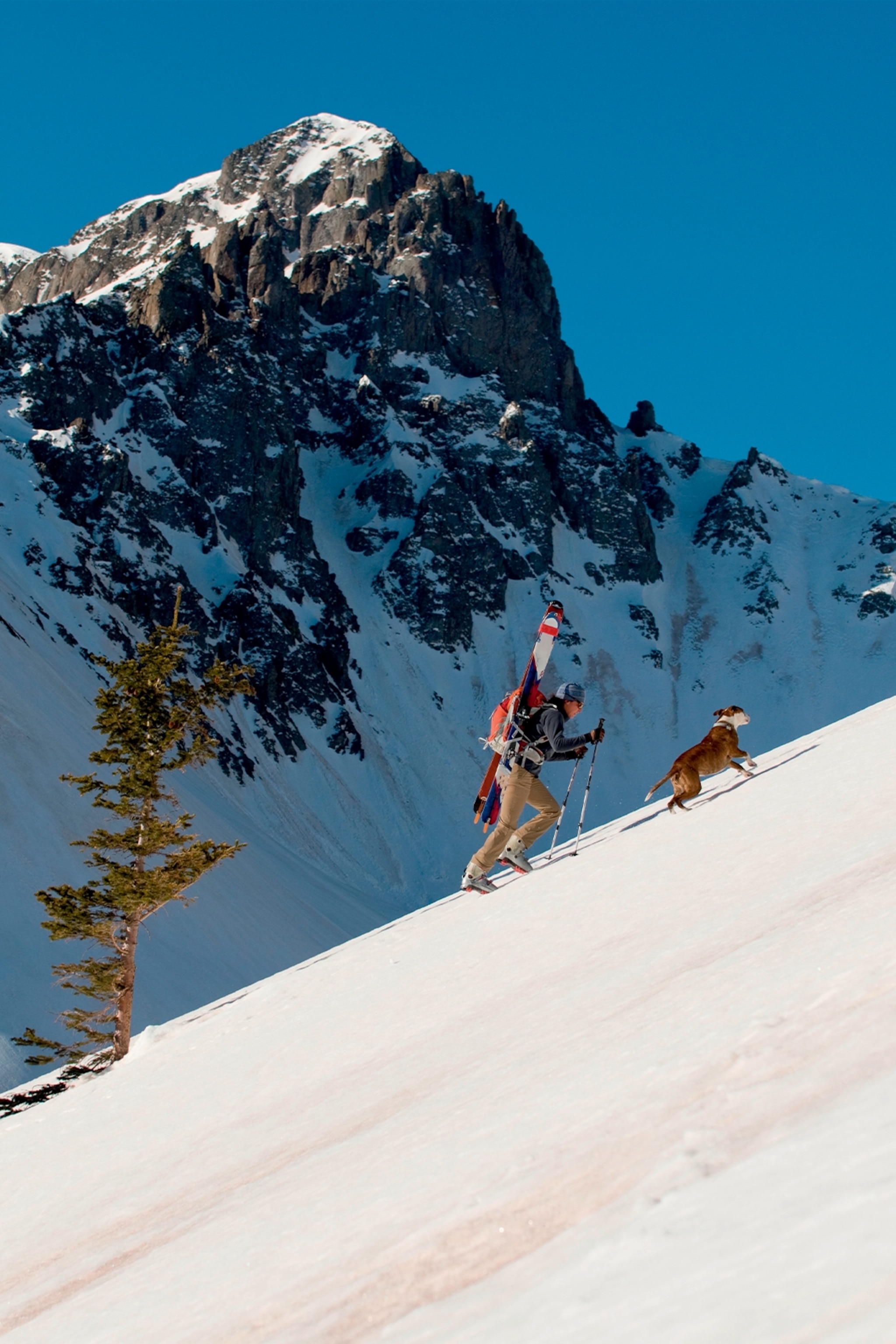 Silverton Mountain