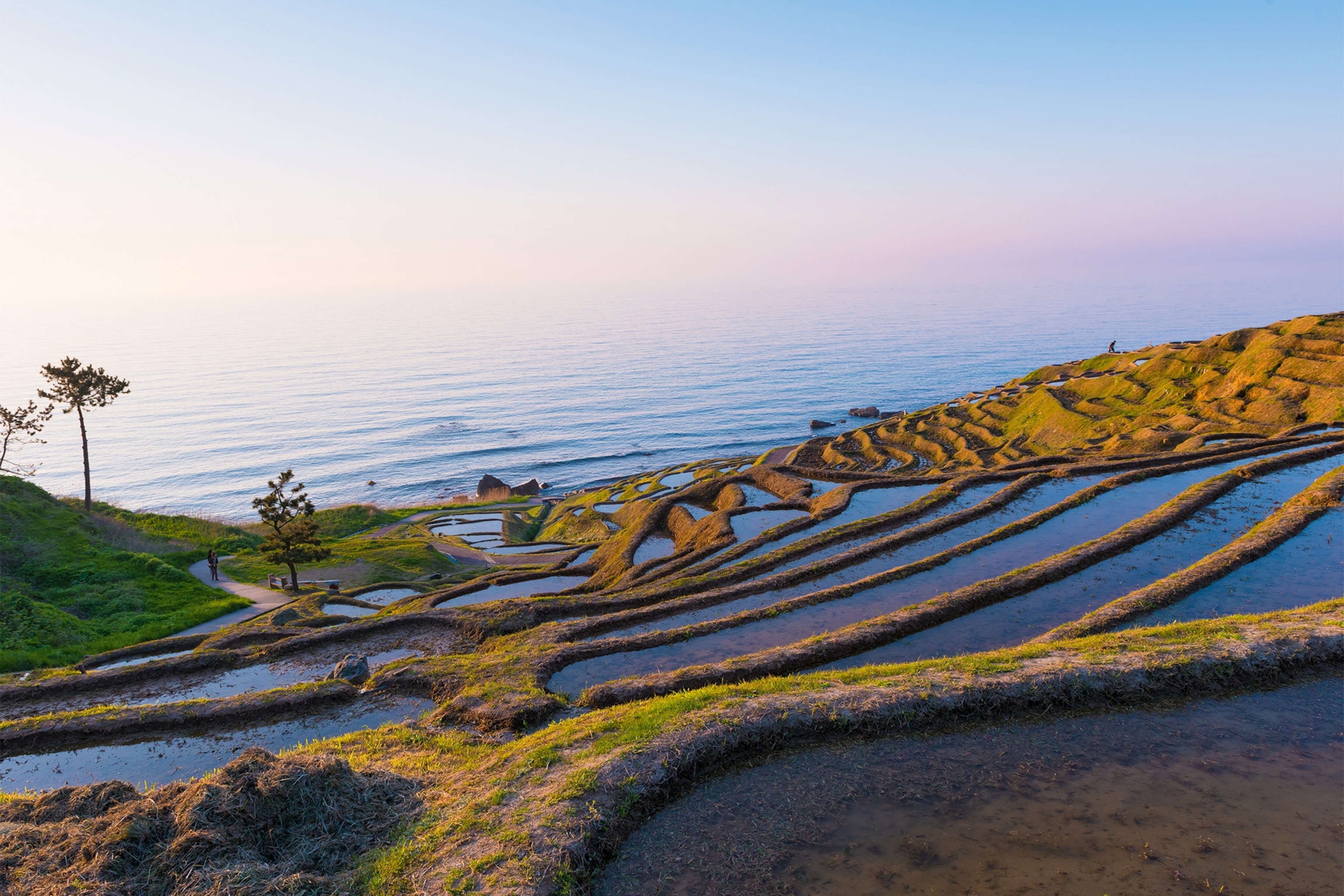 The One Thousand Rice Fields in Noto, Ishikawa, Japan.