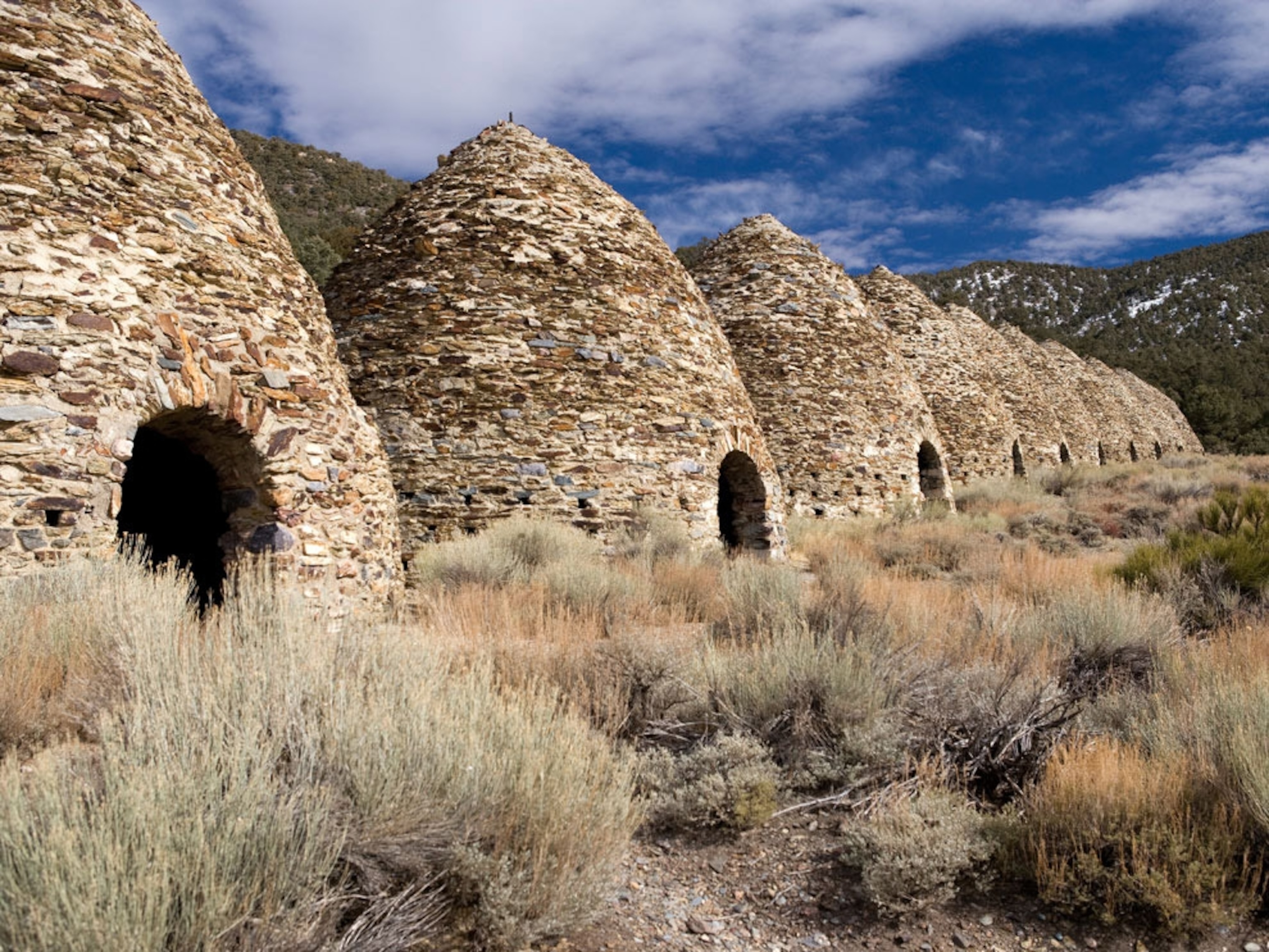 Line of kilns in front of shrubbery