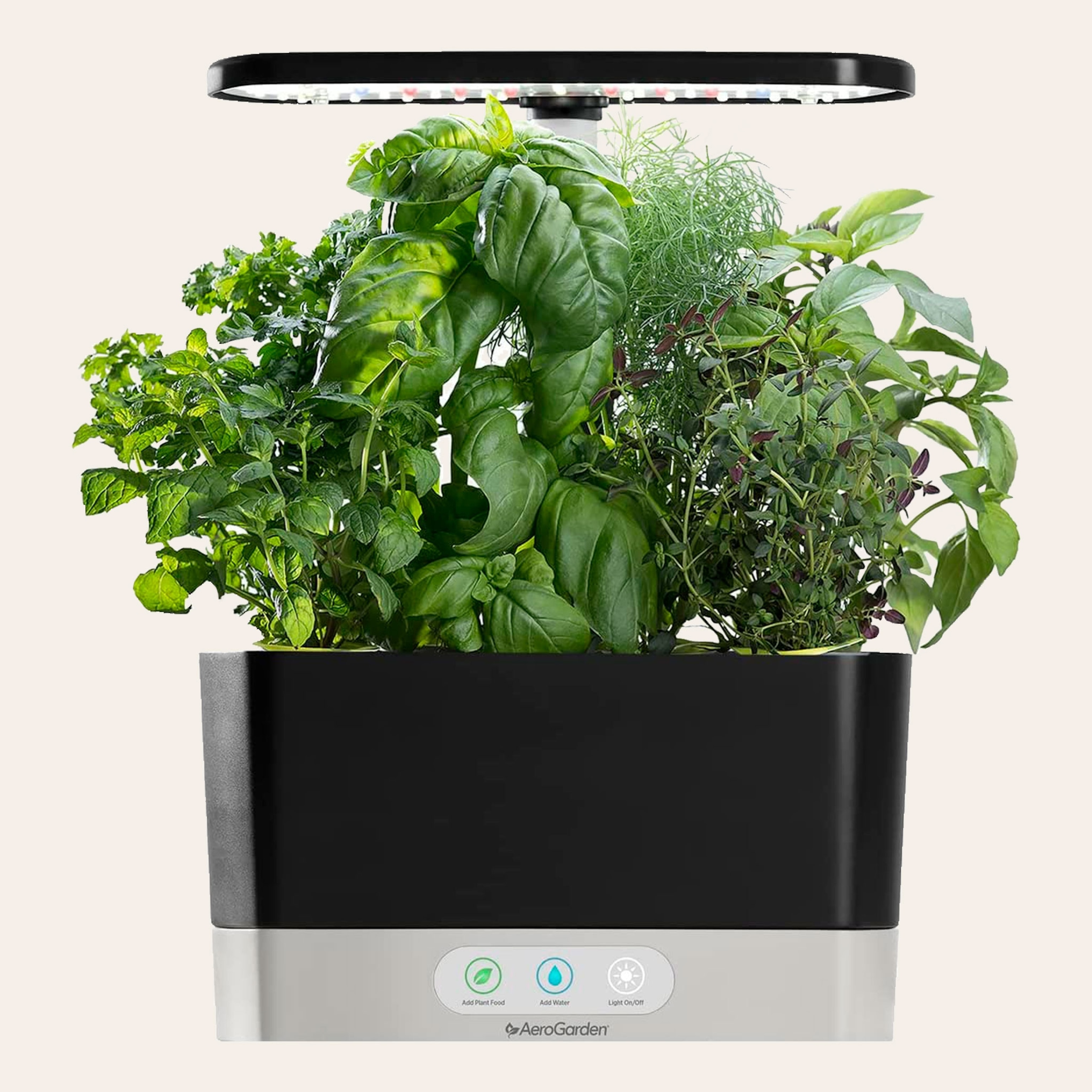 A group of herbs growing from a black plastic box with a lamp hovering over the herbs