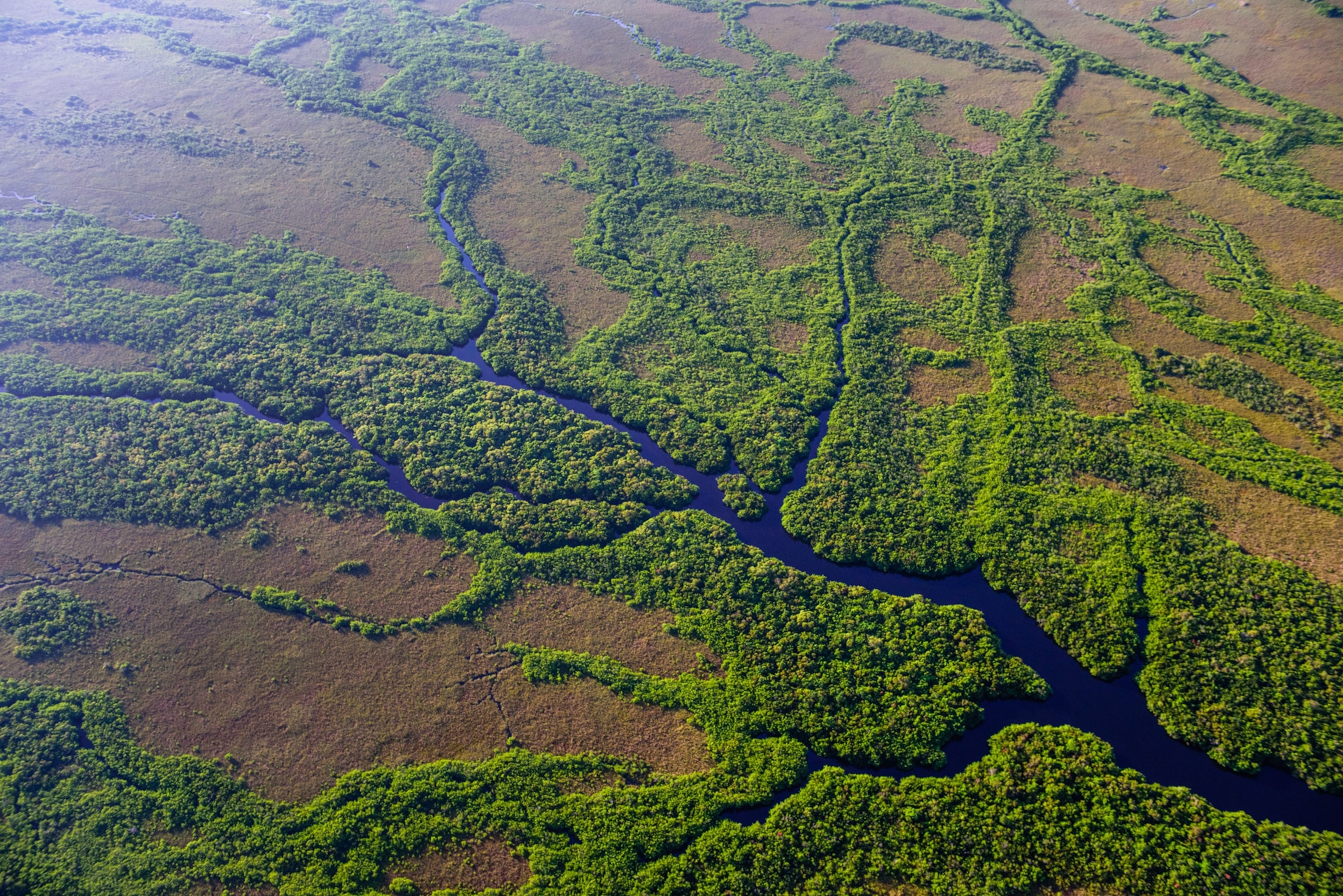 an aerial view of Everglades National Park in Florida