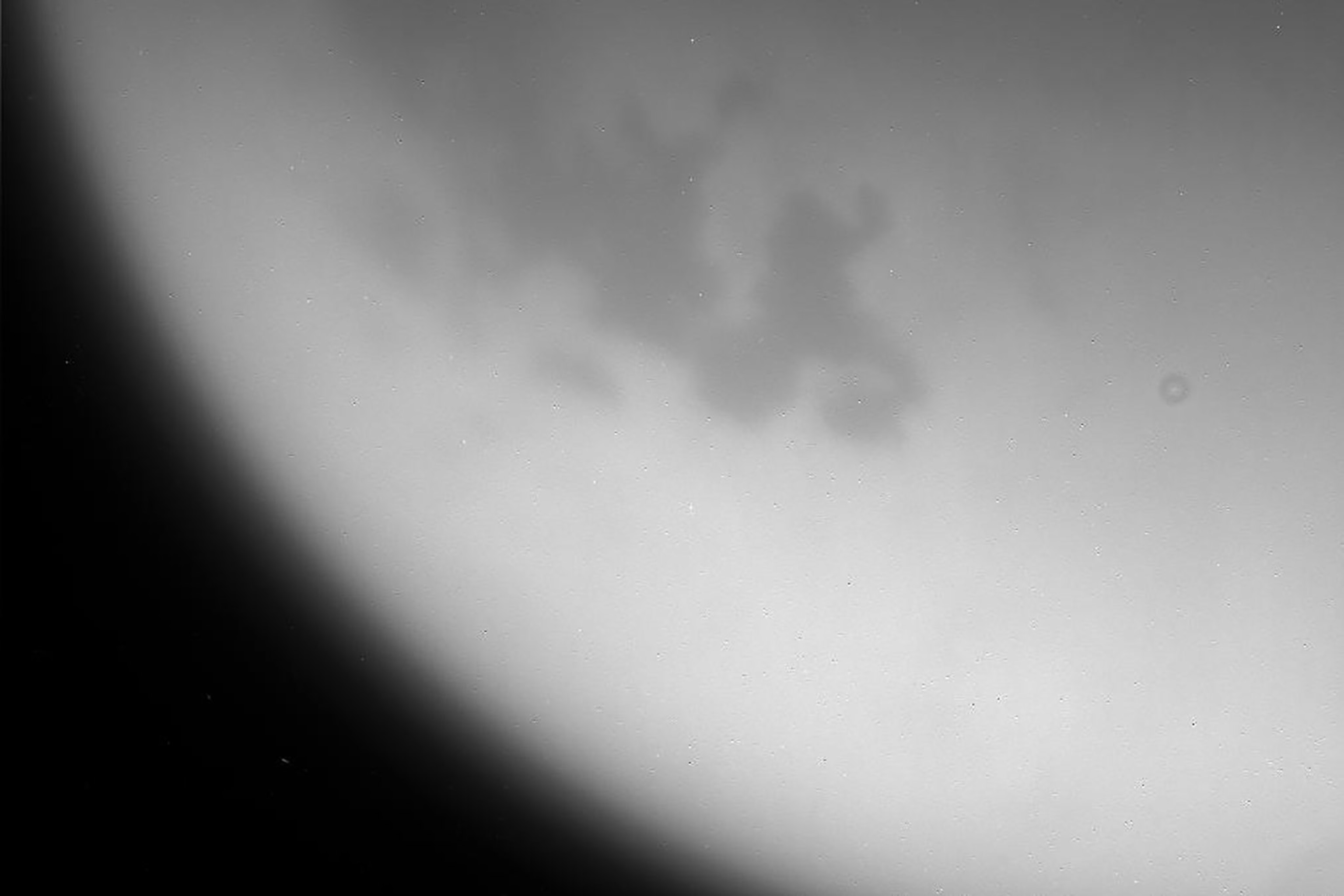 Cassini