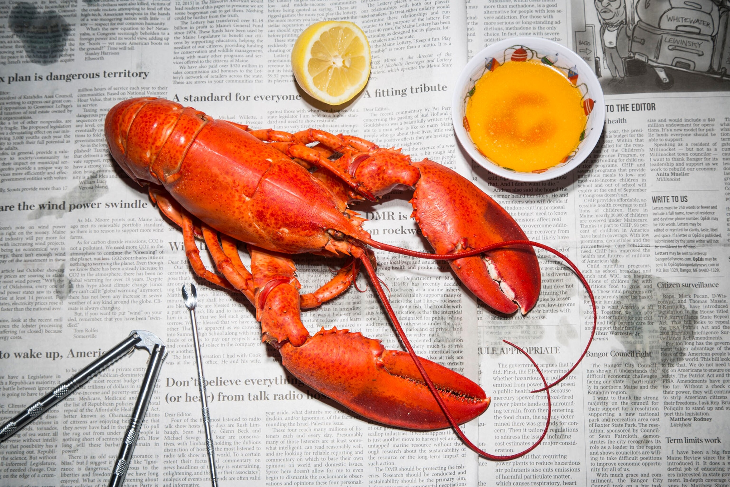 a boiled lobster