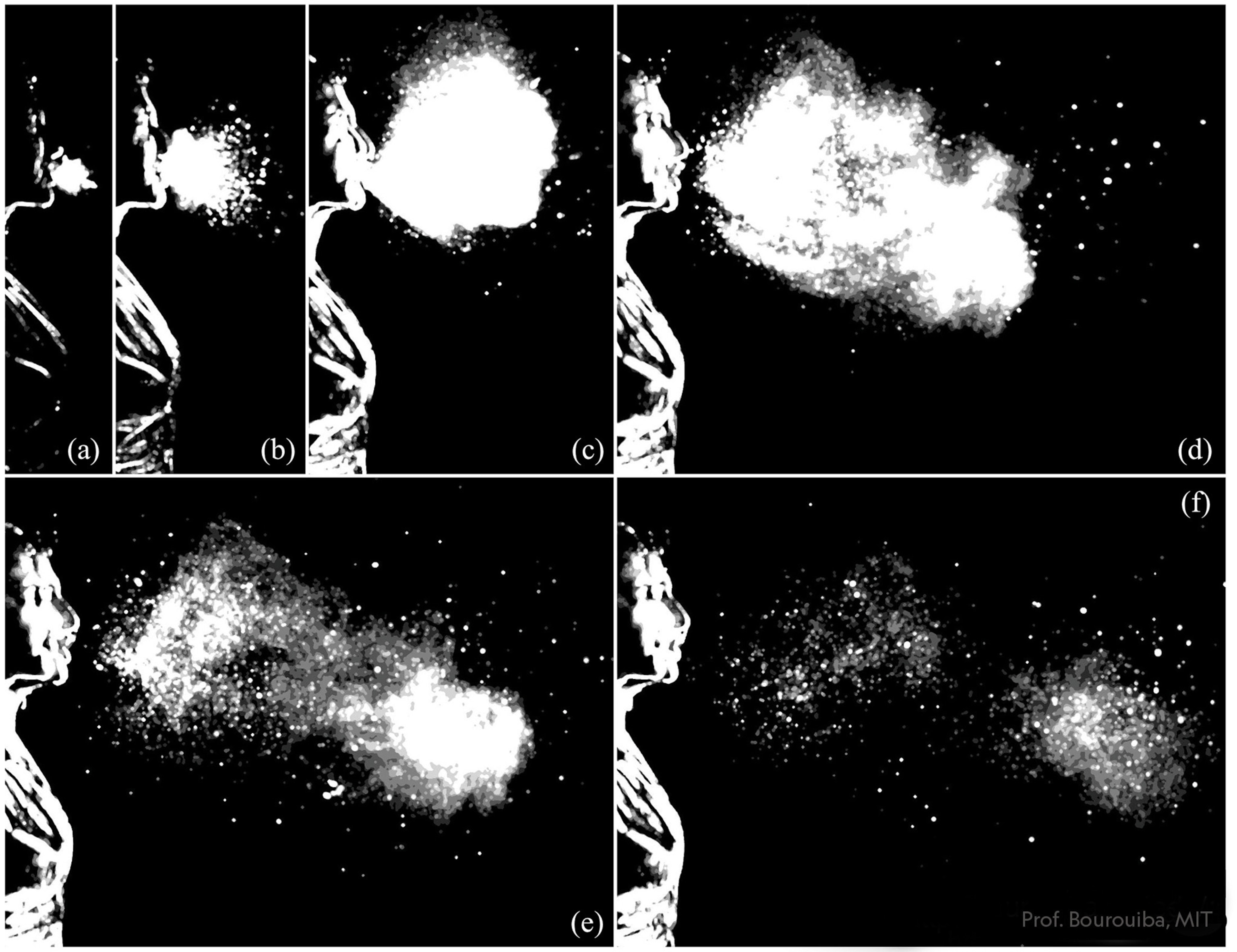 sneeze