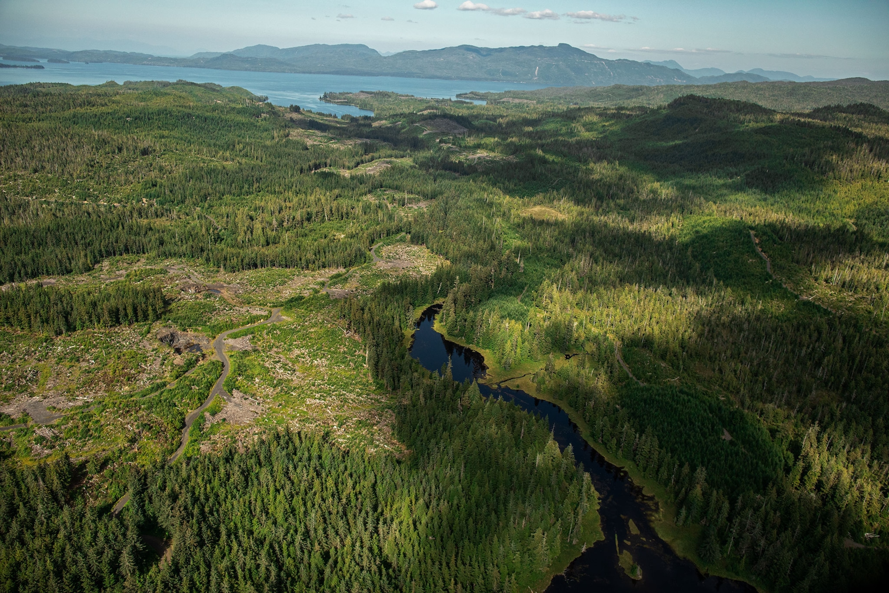 the landscape of carbon credited land