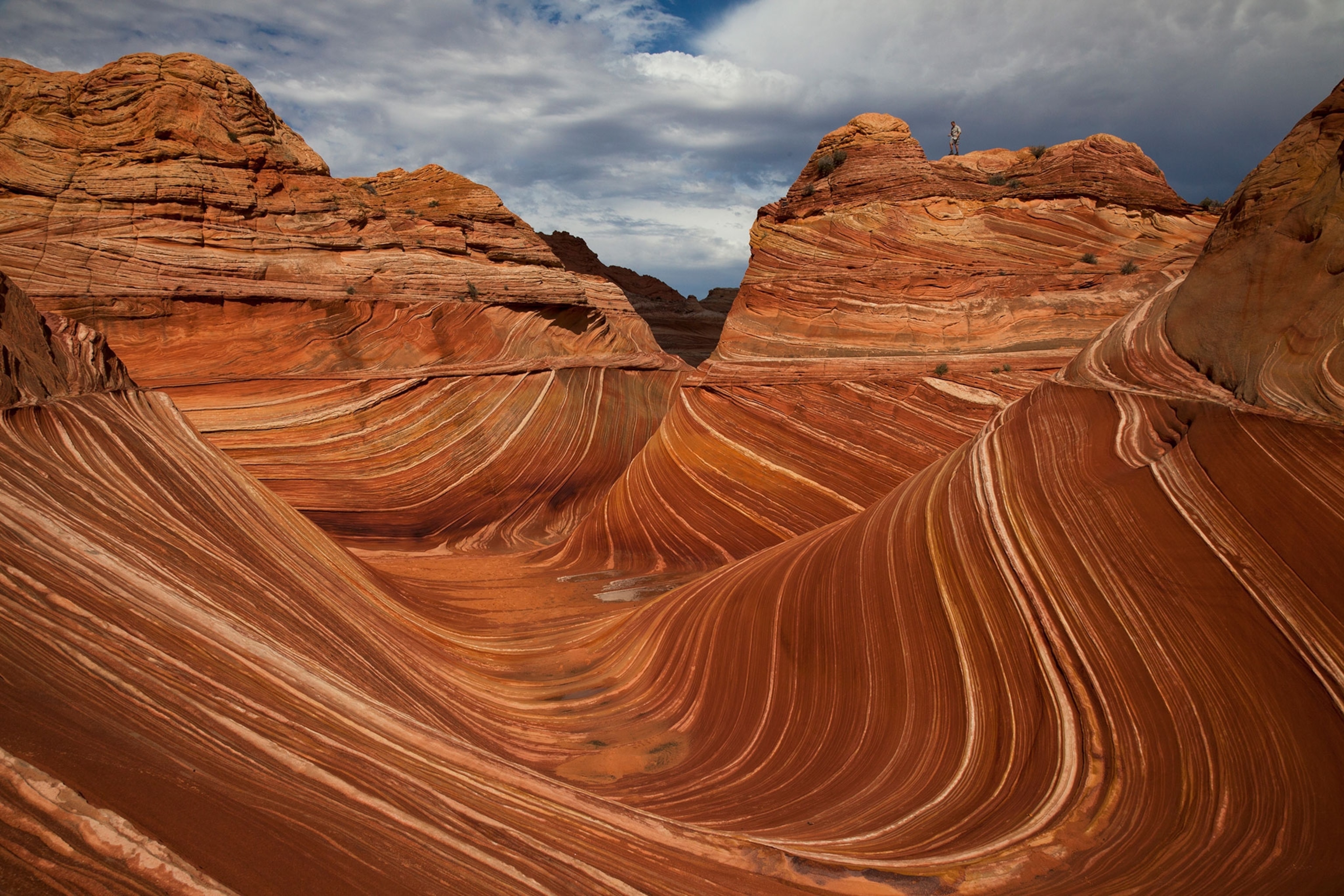 the wave in Arizona