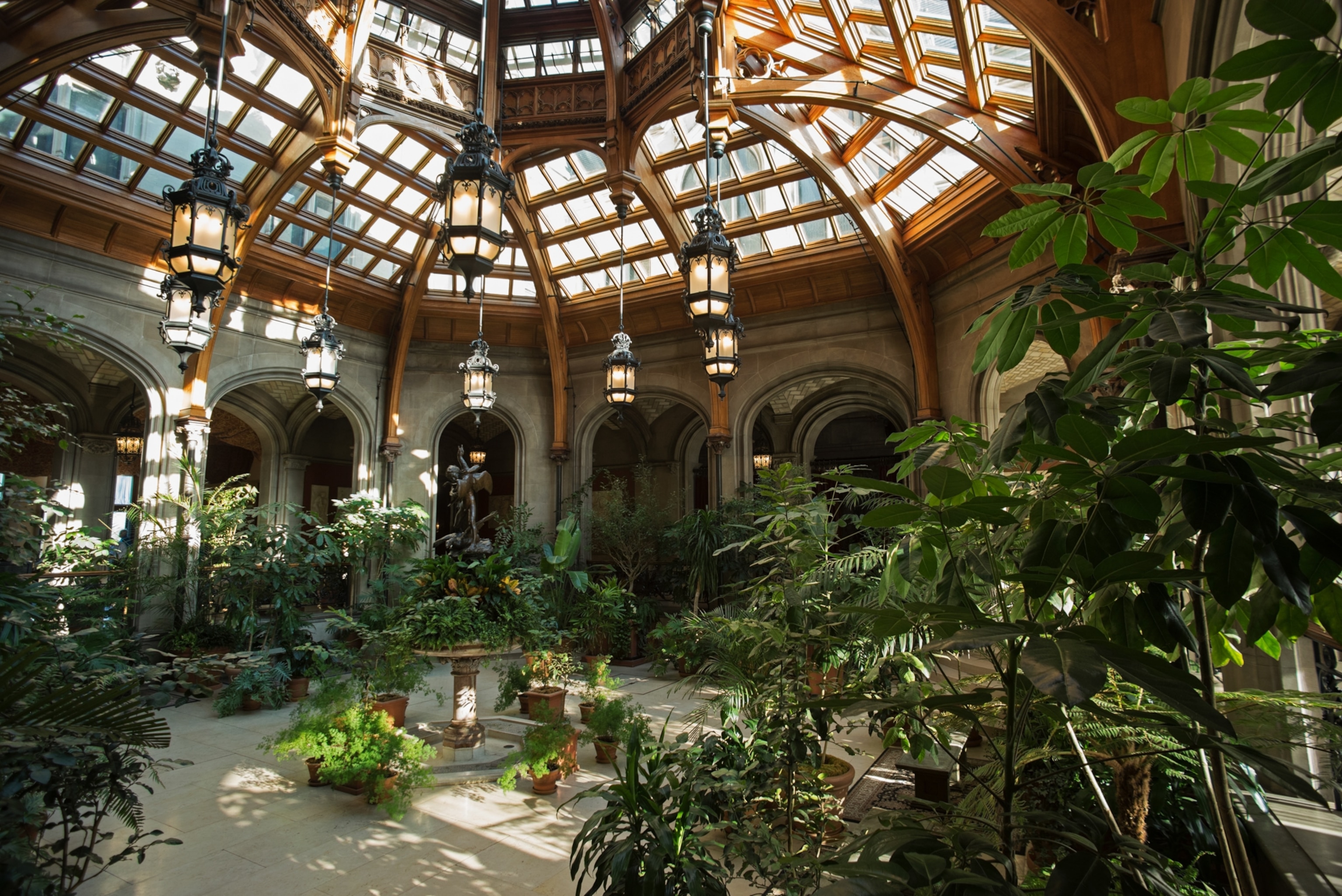 A room full of plants with a ceiling made of glass panels.