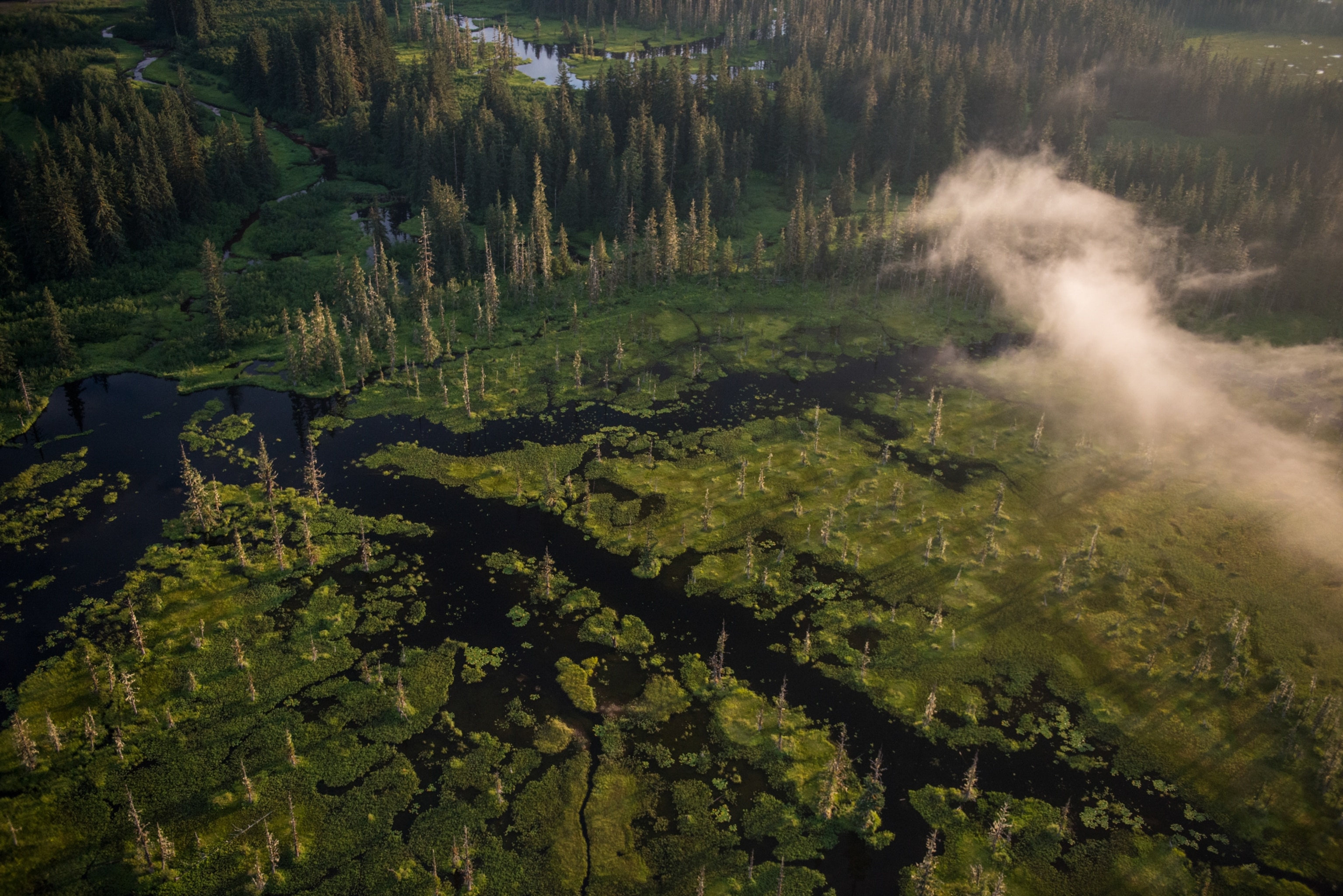 Aerial views of the Stikine River and surrounding landscape