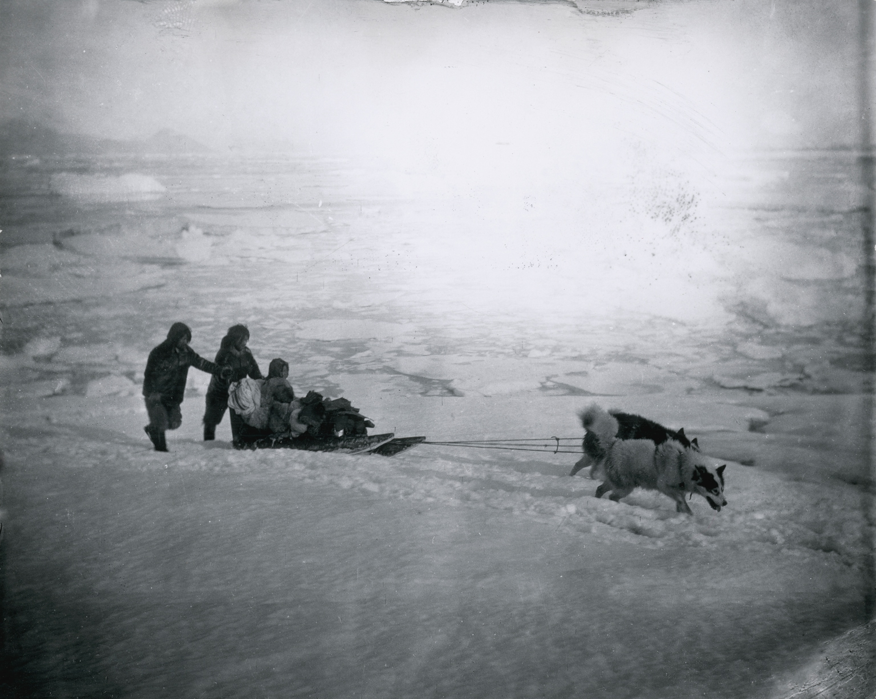 sled dogs pulling people on sled